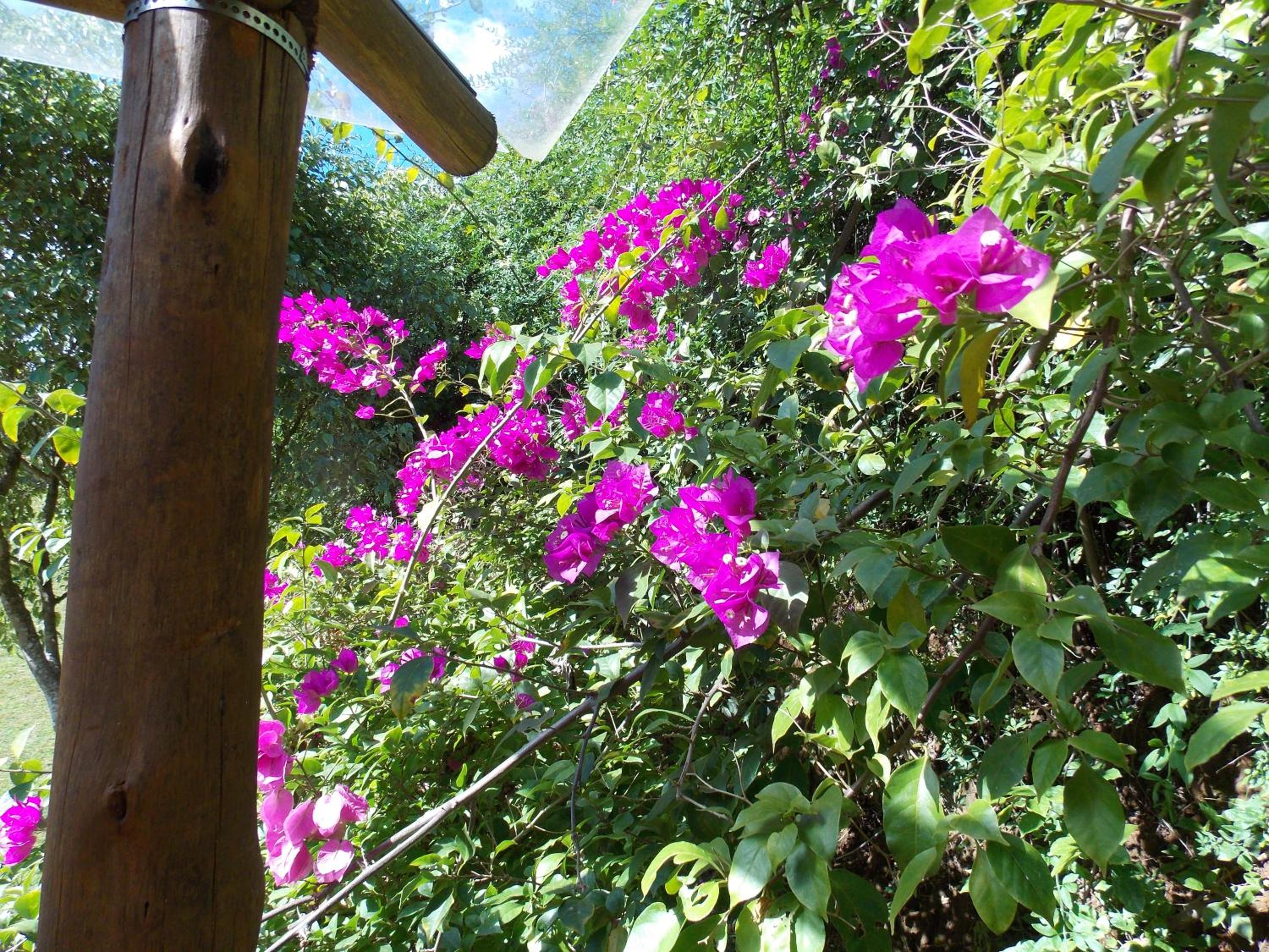 Pousada Villa dos Quilombolas