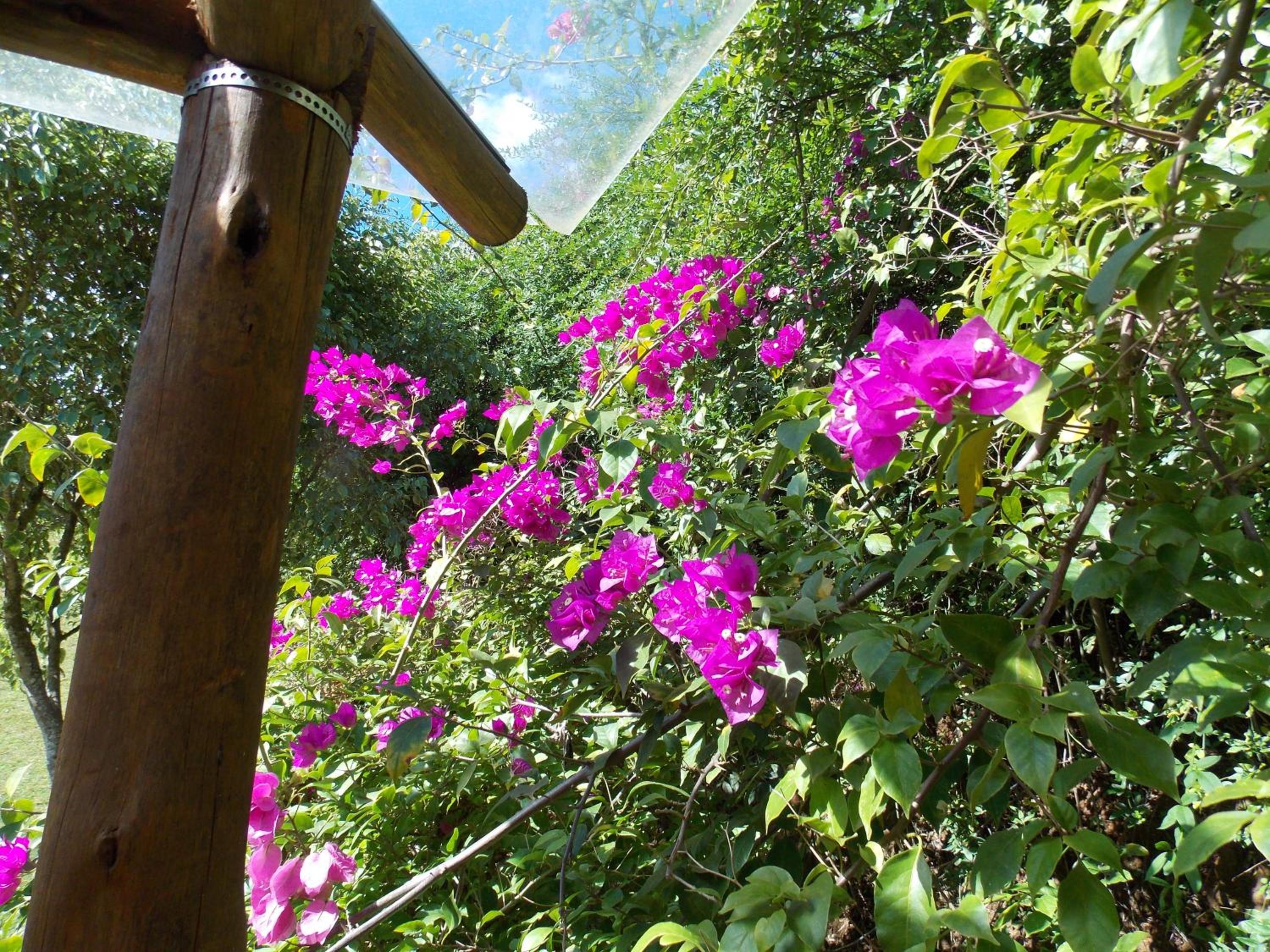 Pousada Villa dos Quilombolas