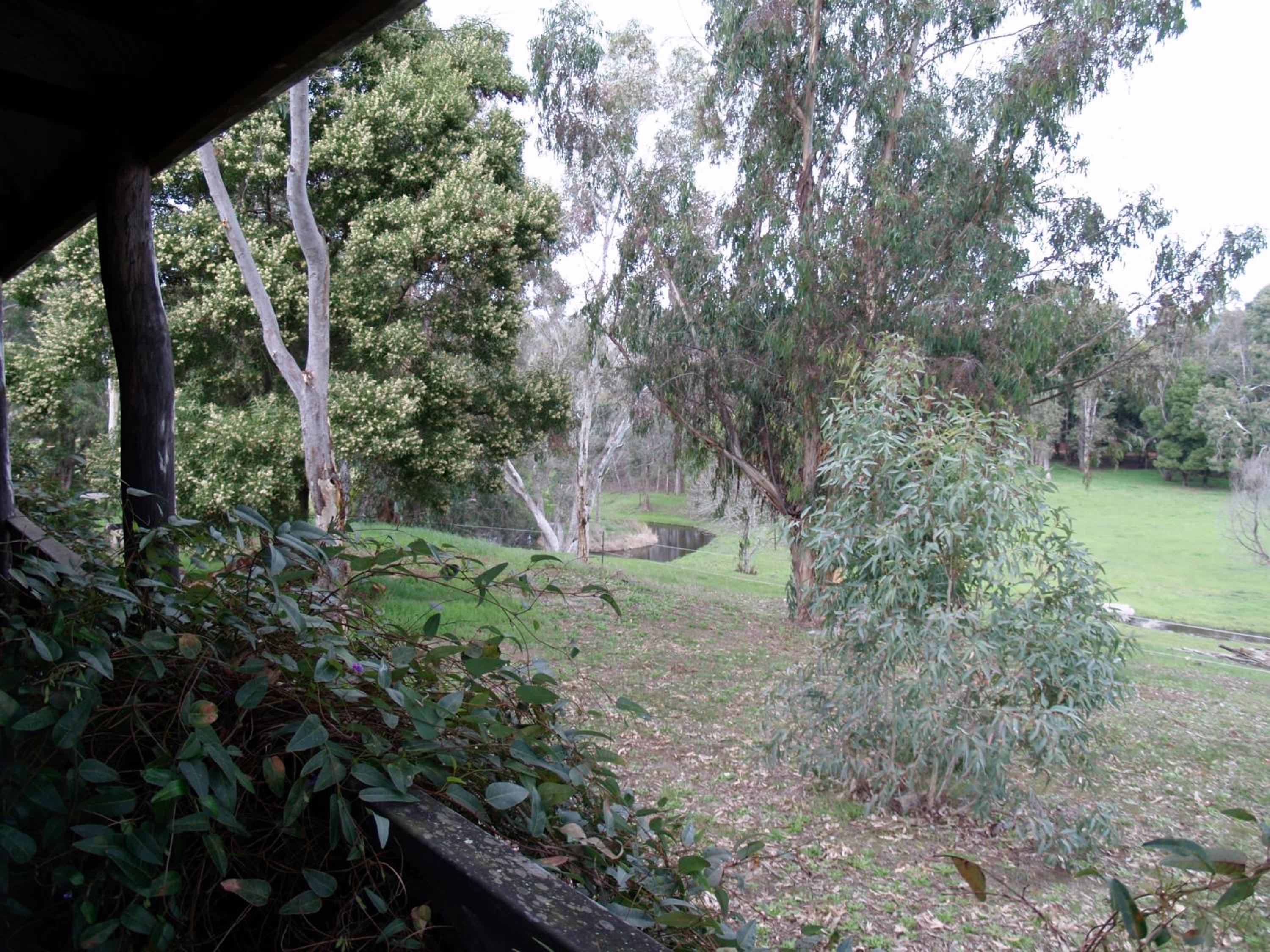 Balinga Cottages