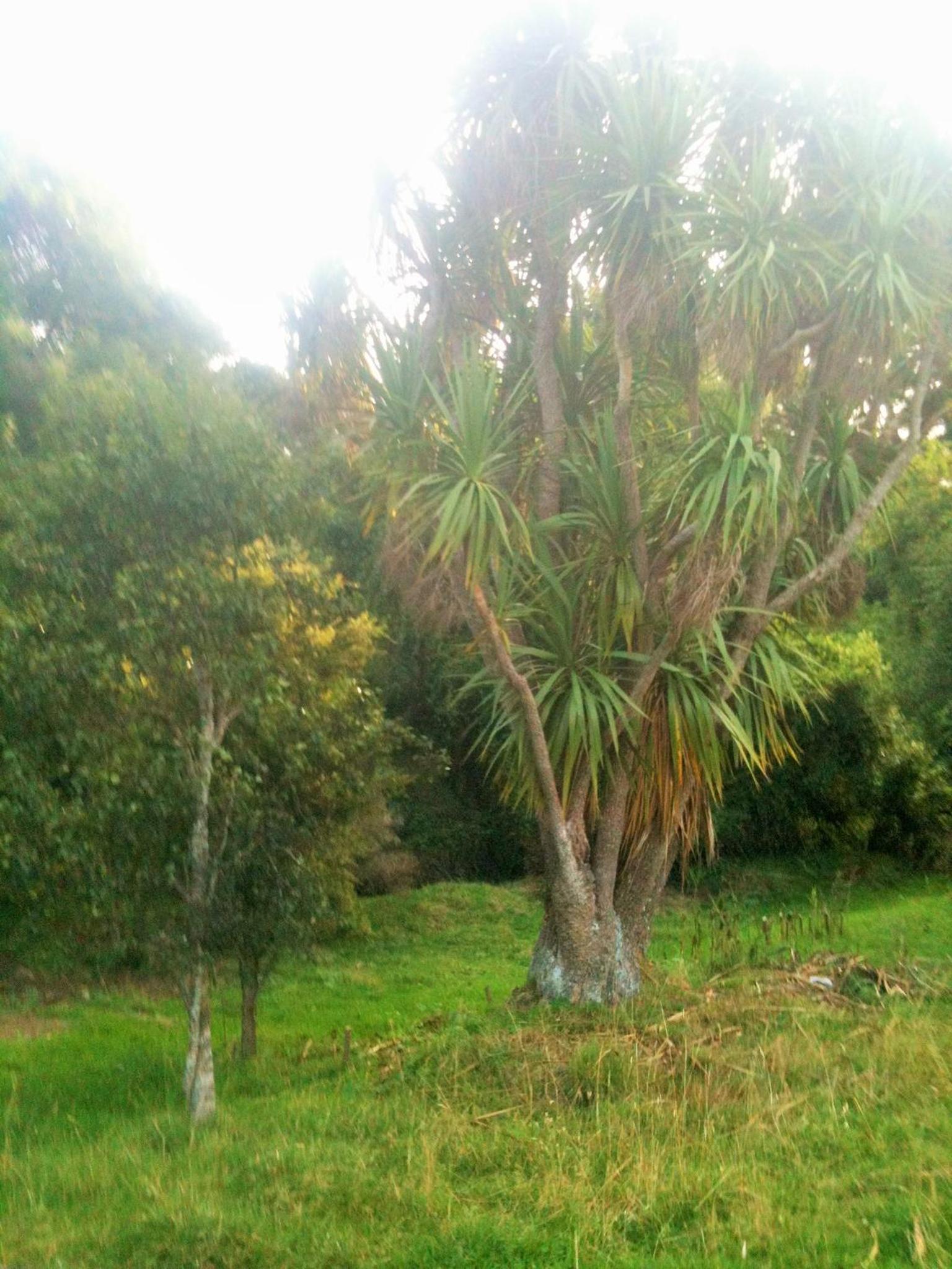 Taringatura Backpackers view 3
