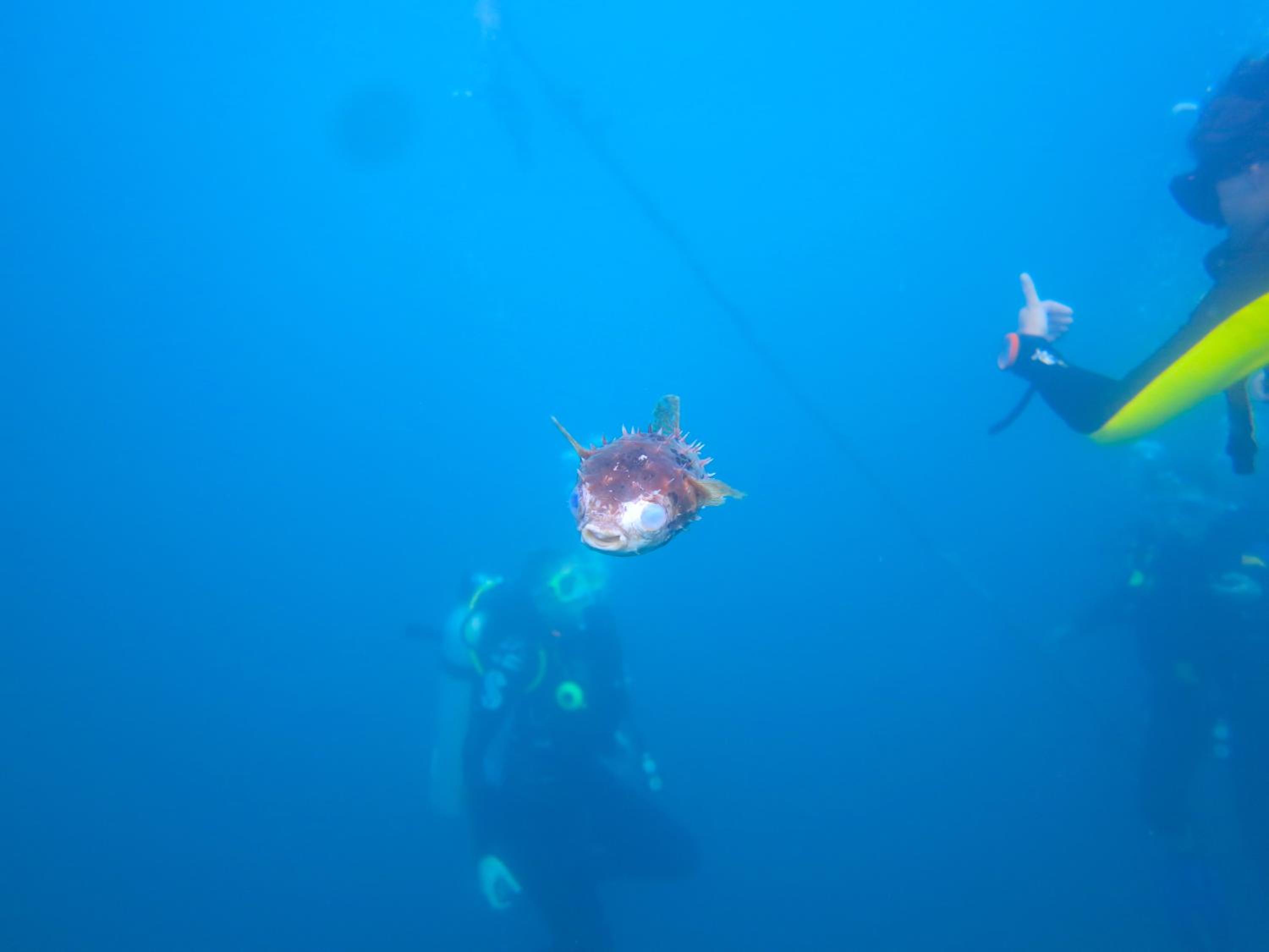 Chindonan Dive and Beach Resort