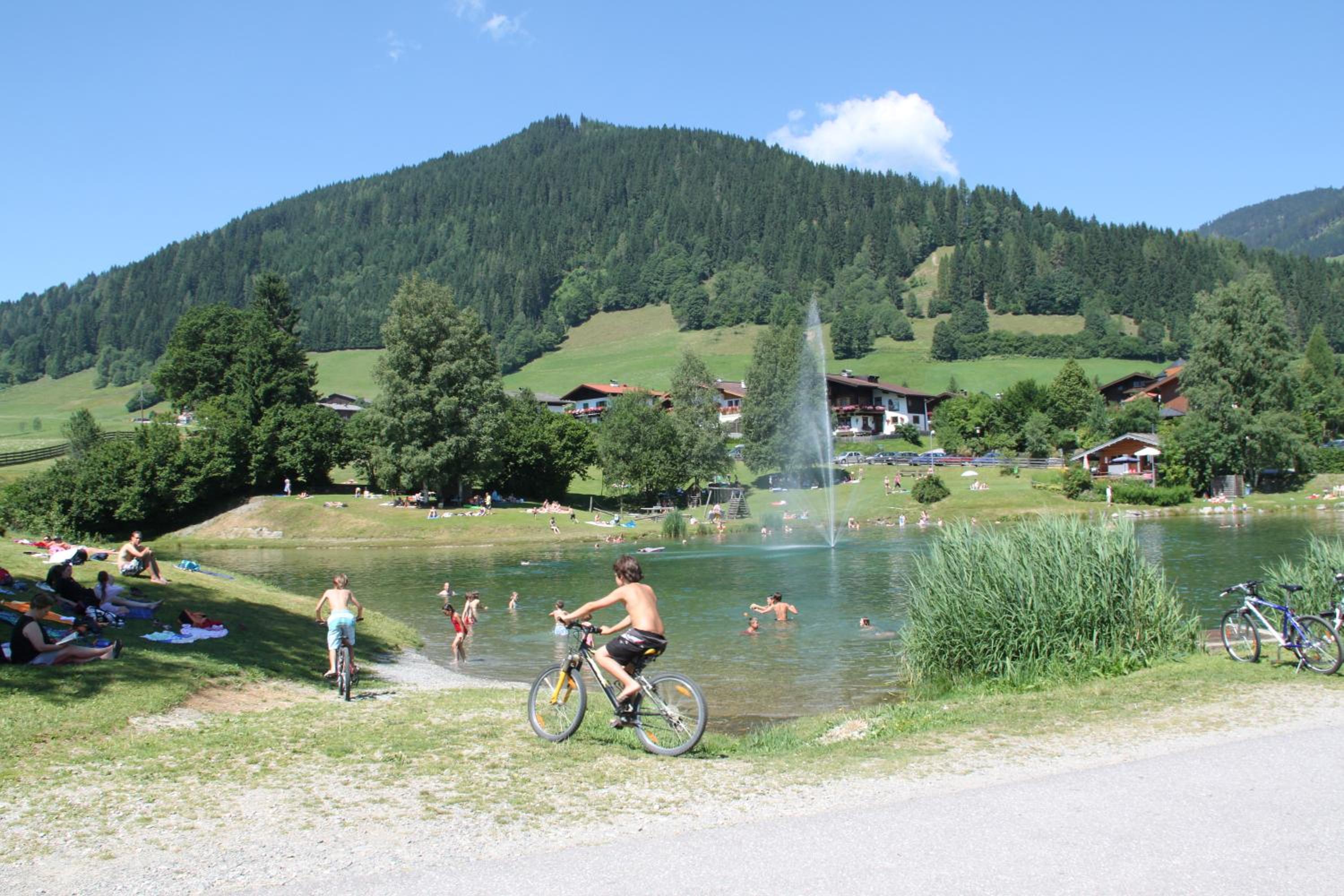 Photo 14