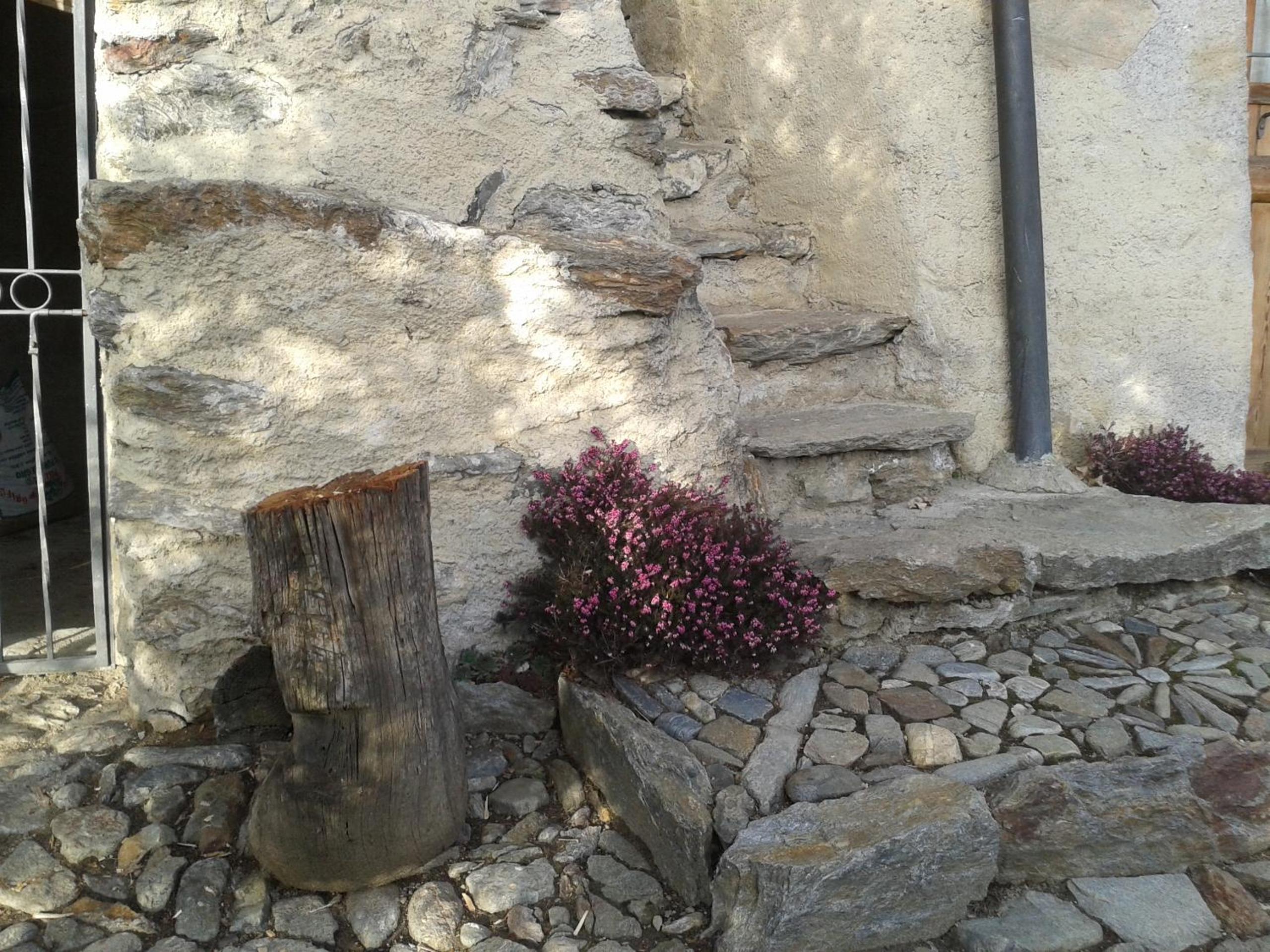 Photo 46