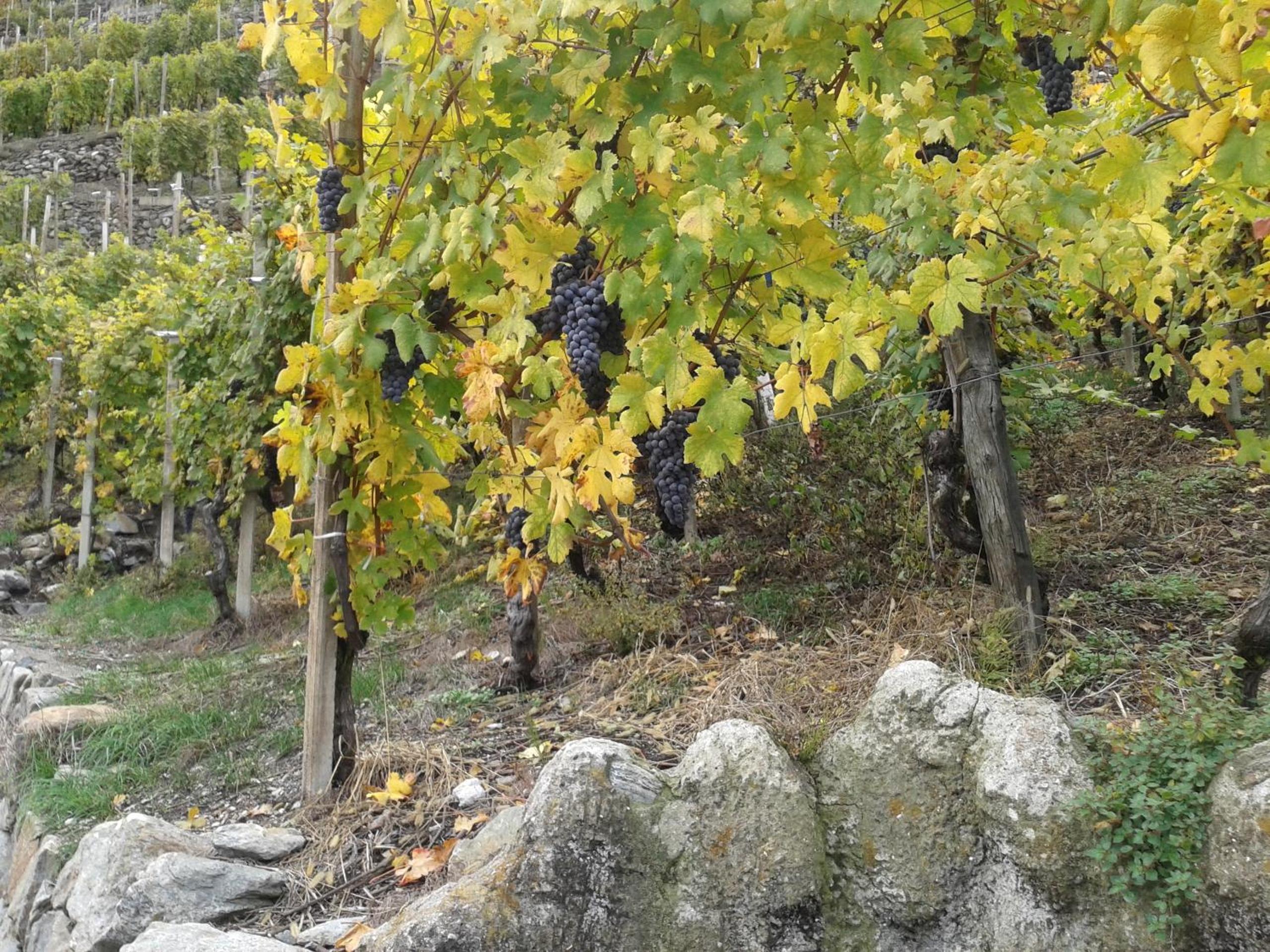 Photo 47