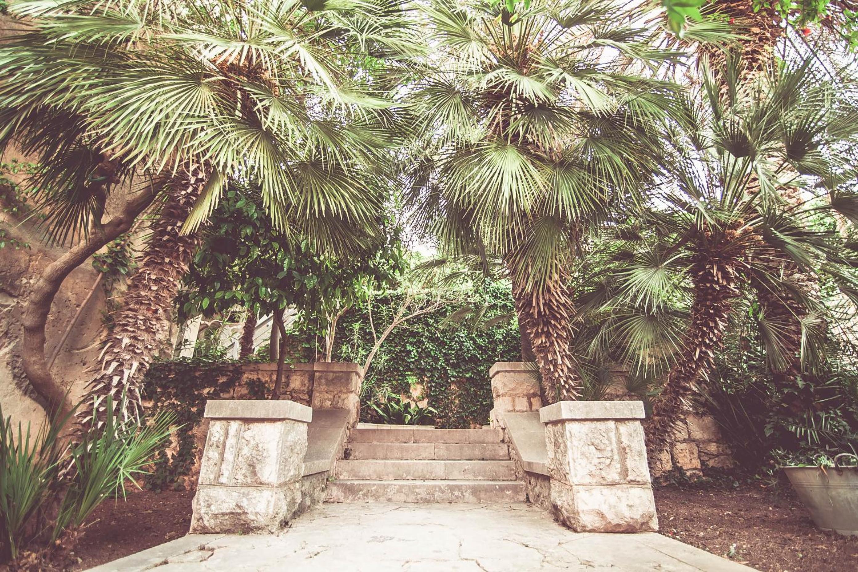 Villa Arboretum