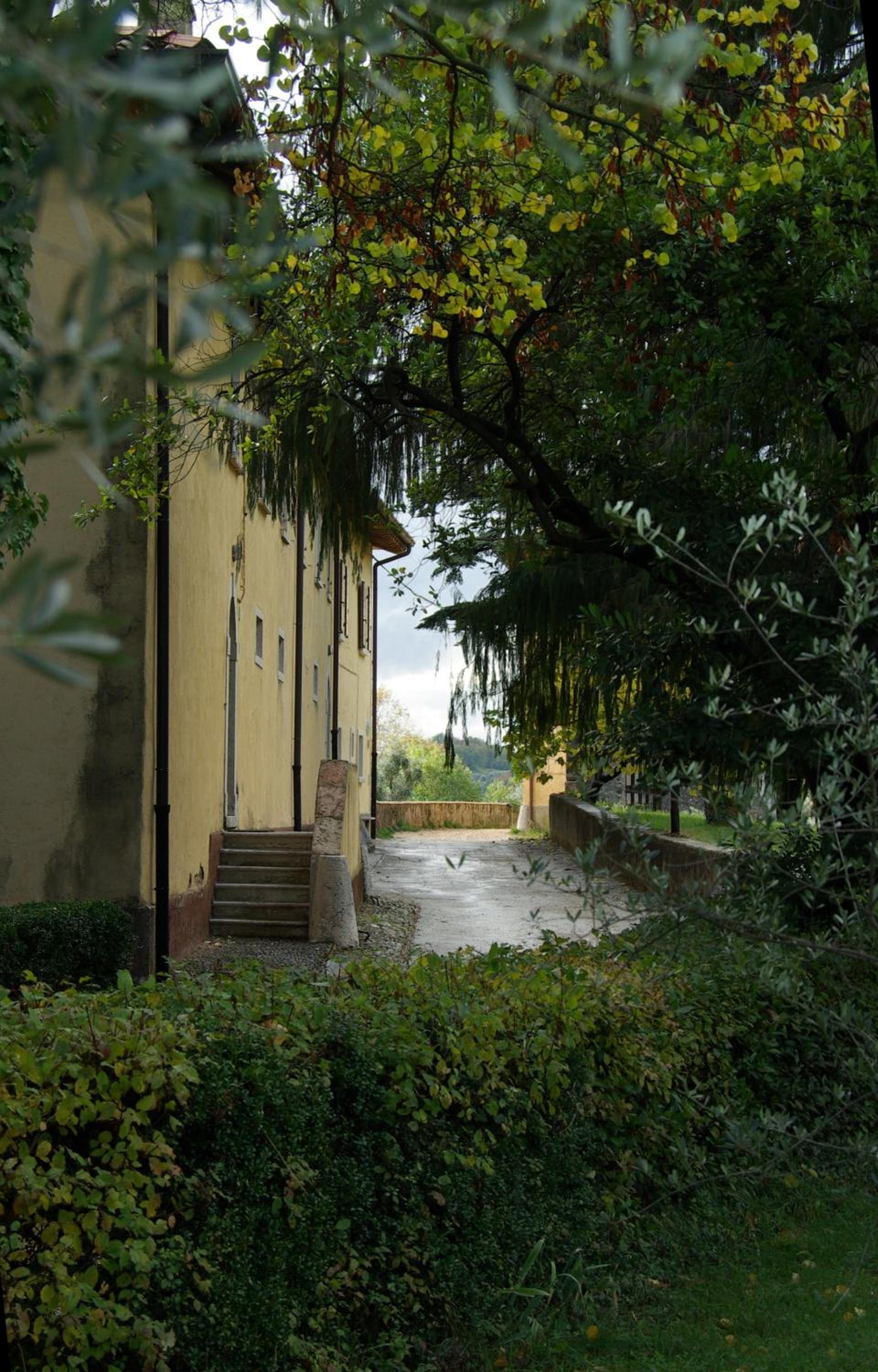 Photo 38
