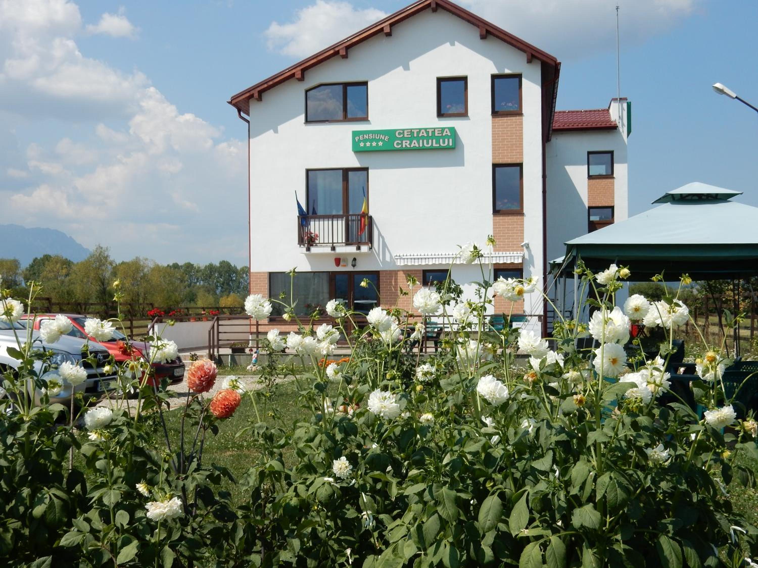 Pensiunea Cetatea Craiului view 3