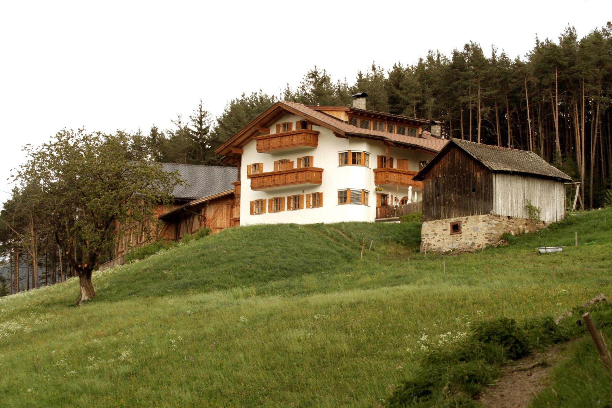 Photo 43