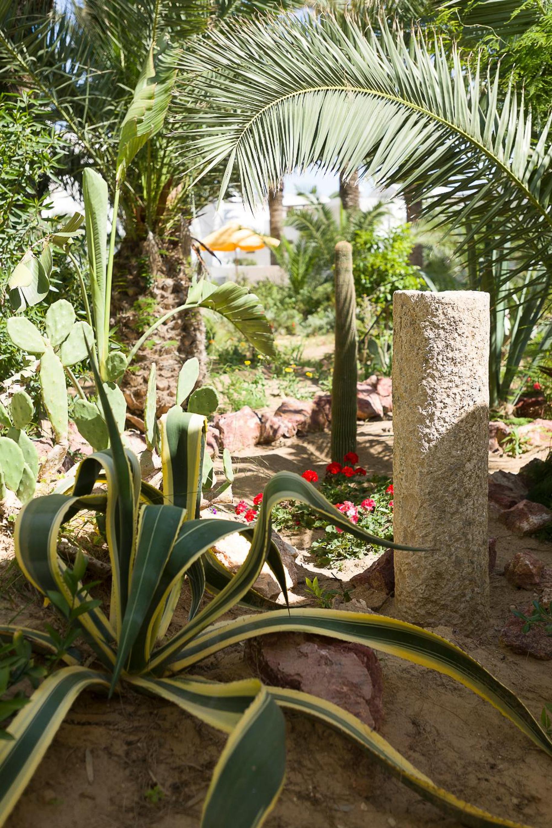 Hammamet Vacations - The Sindbad - Property Image 31