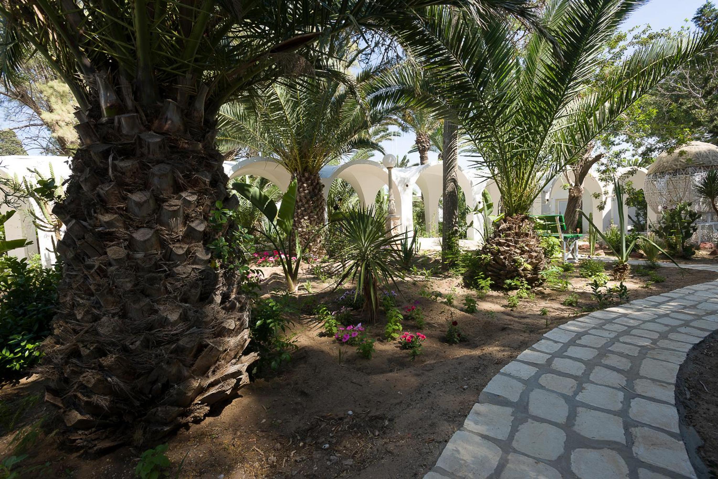 Hammamet Vacations - The Sindbad - Property Image 21
