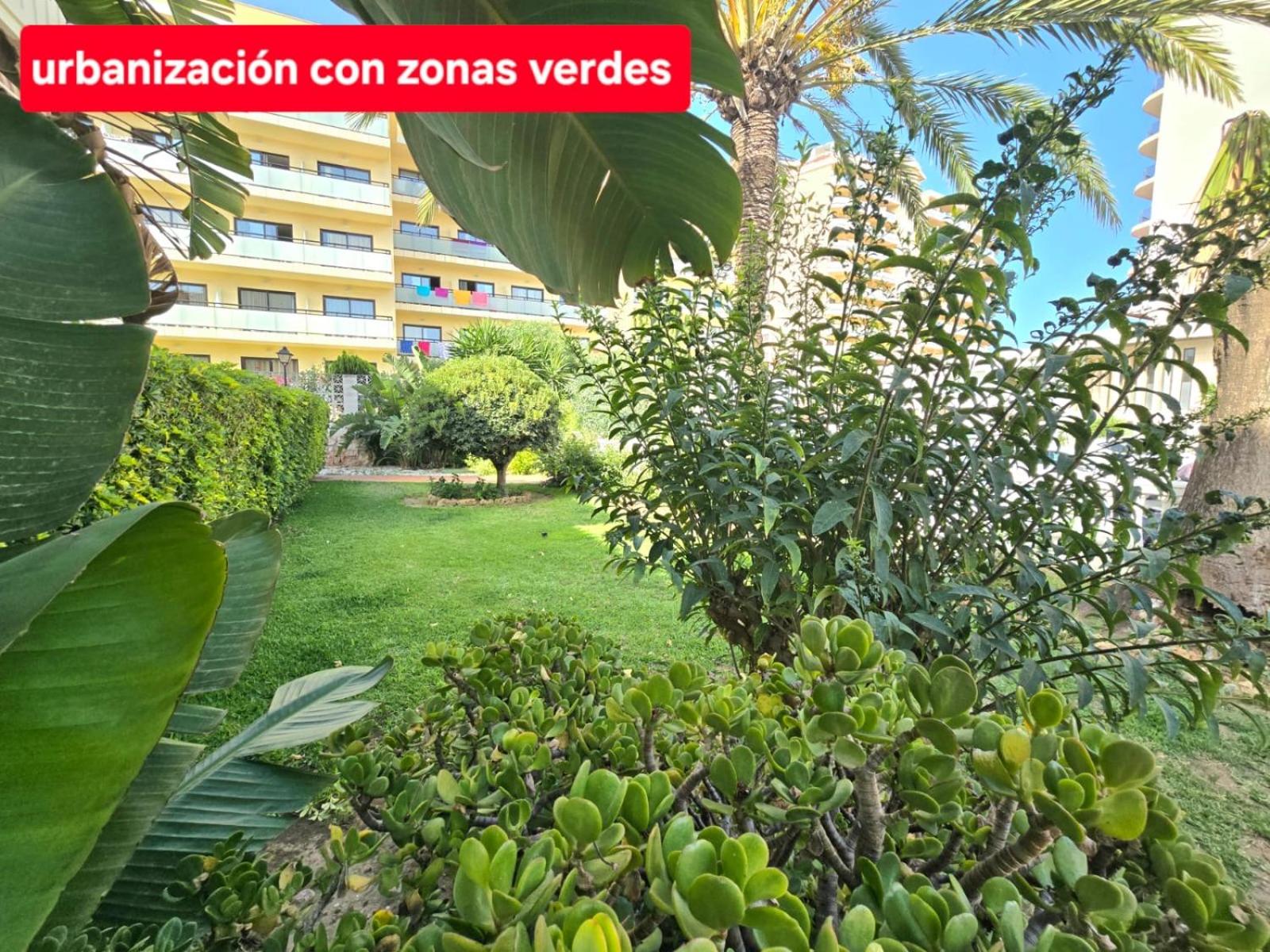 Los Álamos Torremolinos a 50 metros de la playa
