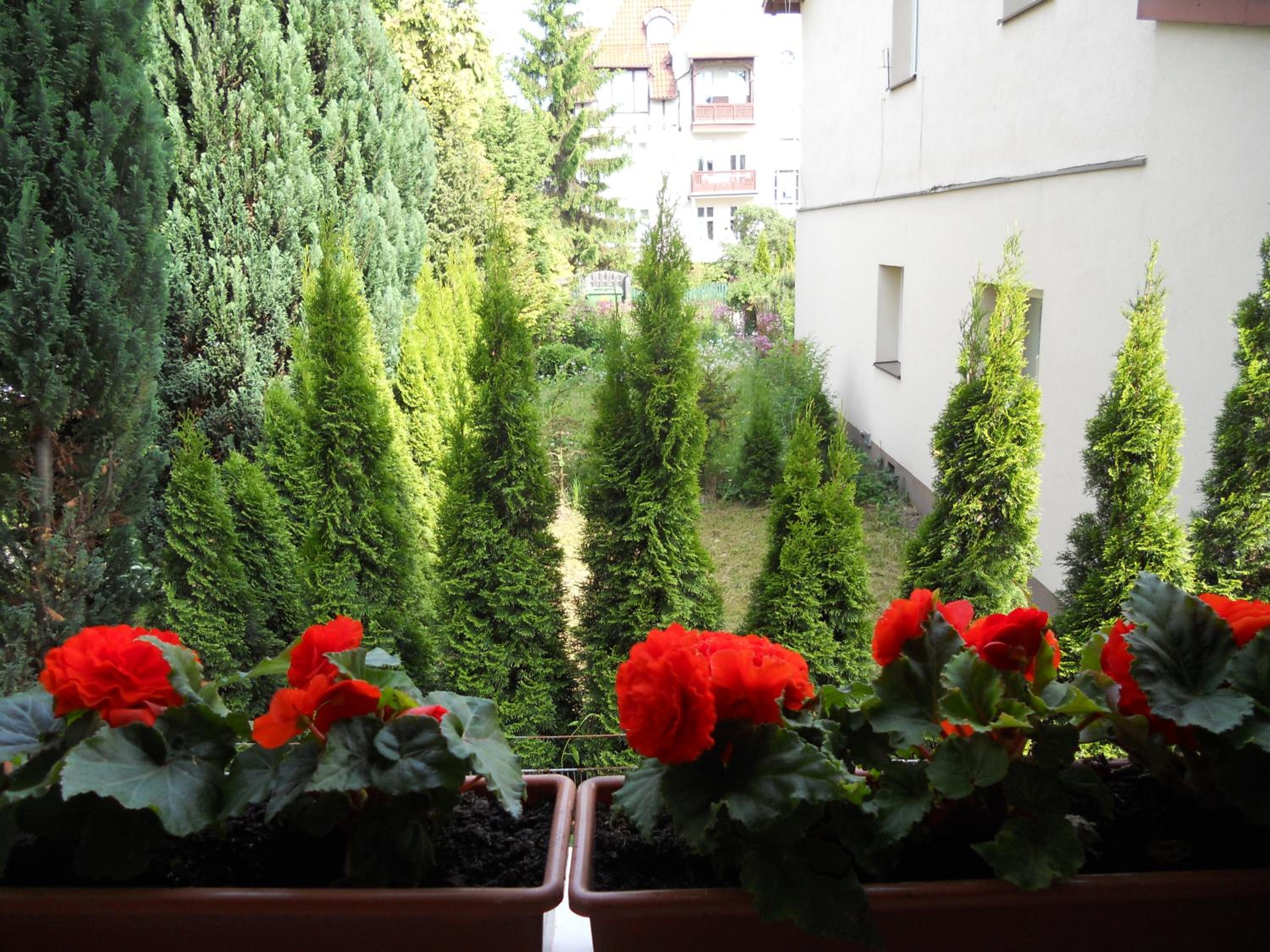 Apartament Hektor Home