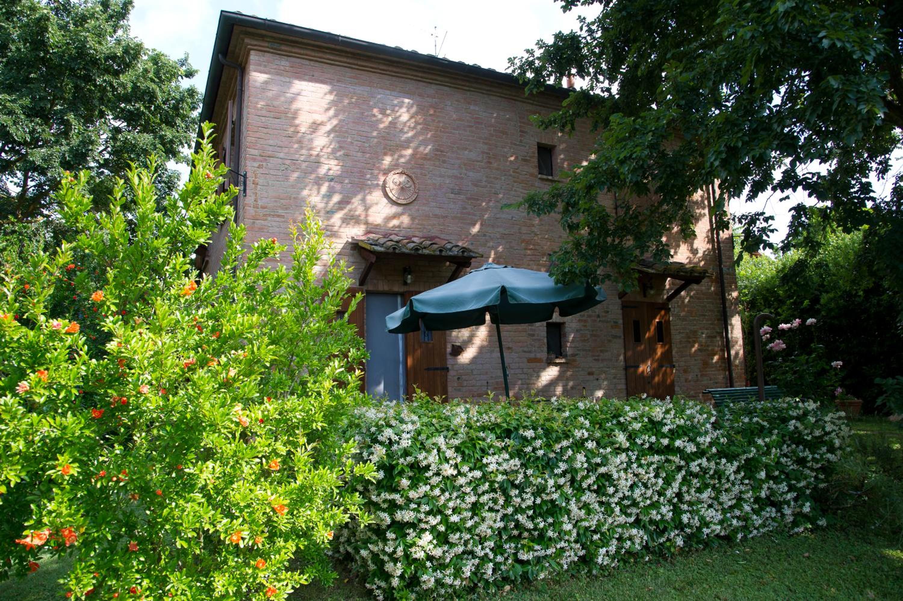 Photo 37