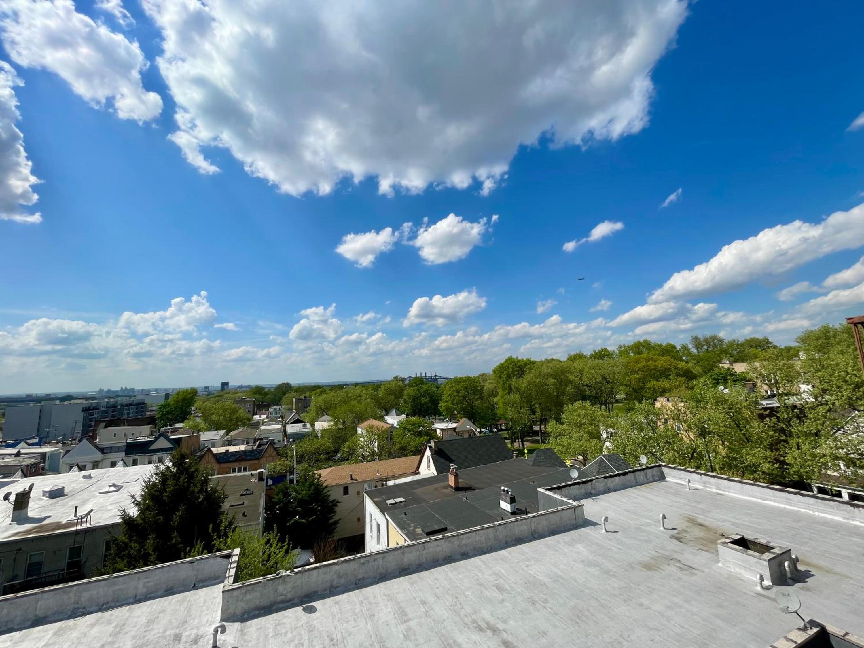 Sunny Jersey City 1BR, 25 min to NYC, 15min to EWR, King Bed, Hammock & Park Views