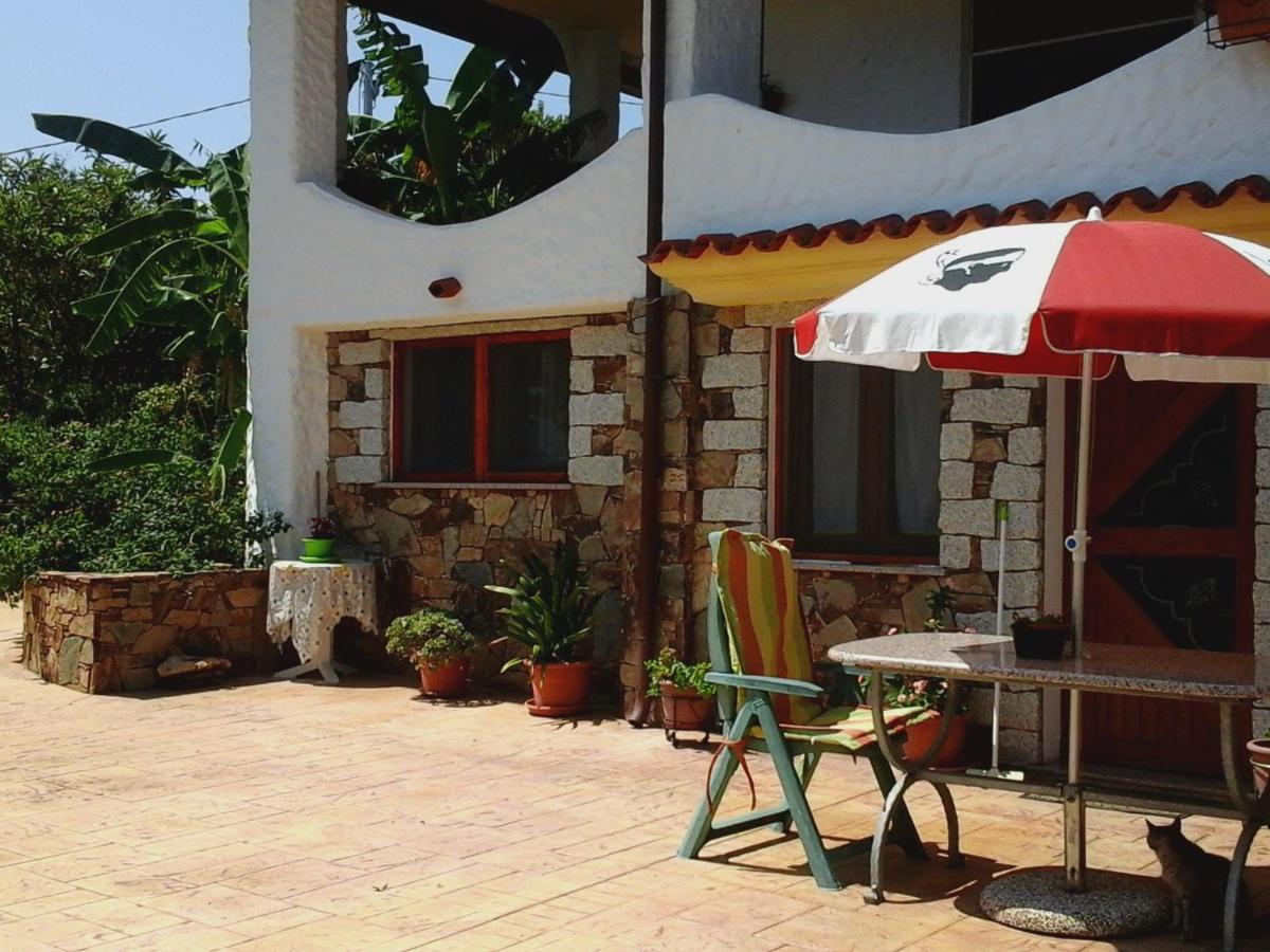 Appartamento Le Palme view 5