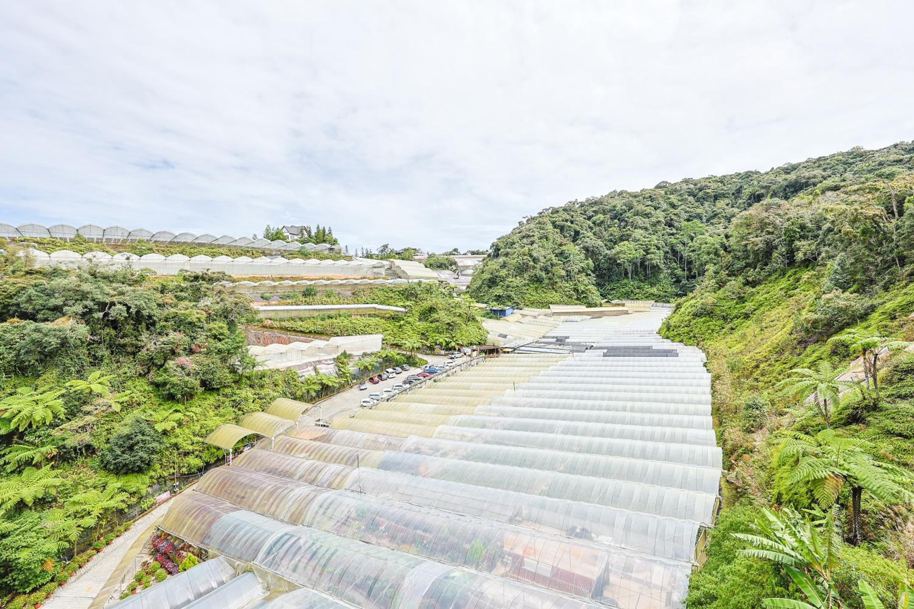 Perfect for Families & Friends, Retreat Brinchang Cameron Highland- Clover Home 2-20