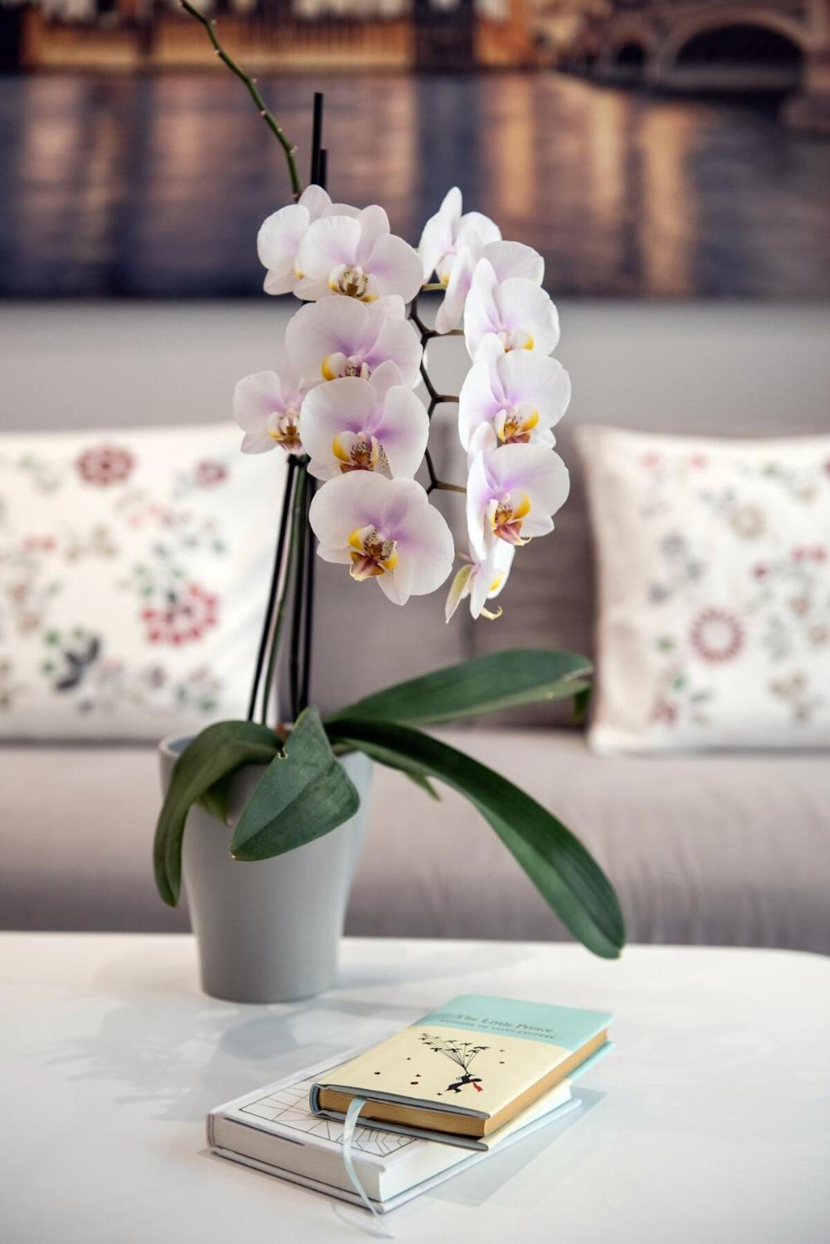 THELIA Sofouli Urban Living