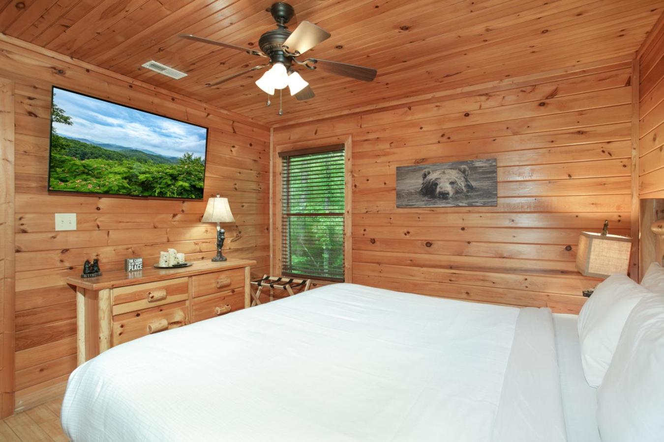 Smokies Cabin Life View Hot Tub Grill Game Room