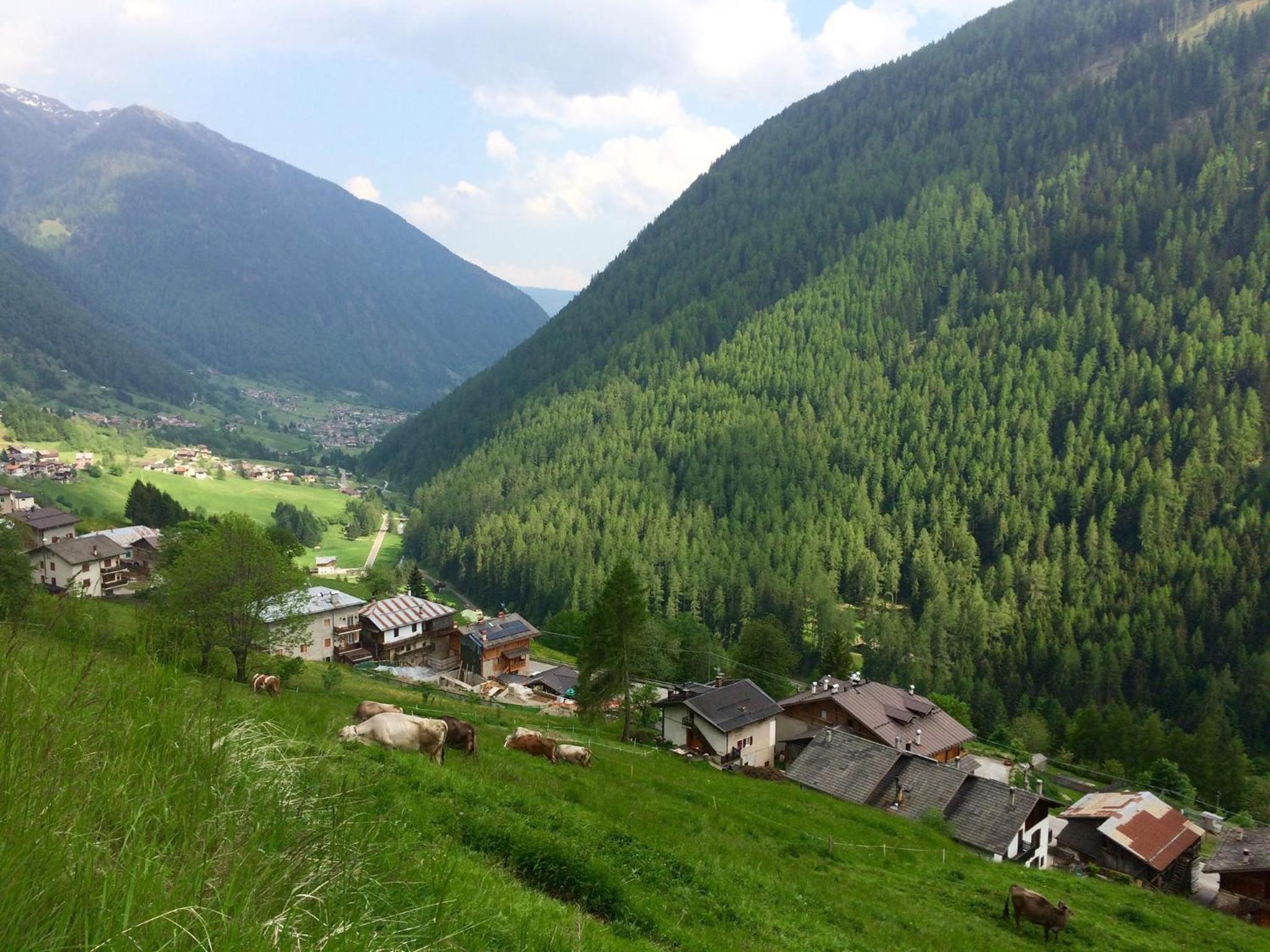 Agritur Maso Ciprianna B&B view 5