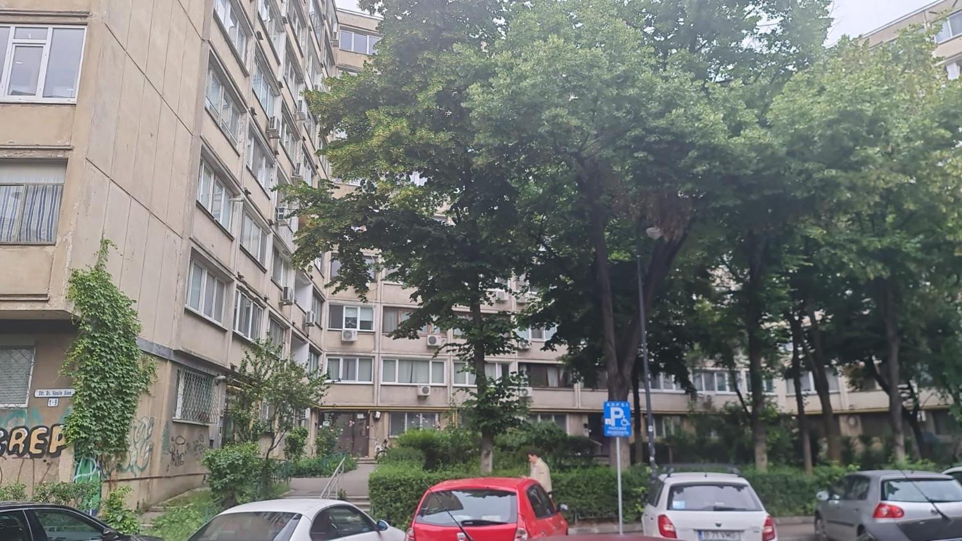 2 bedrooms apart in Cismigiu area - the real center of the city