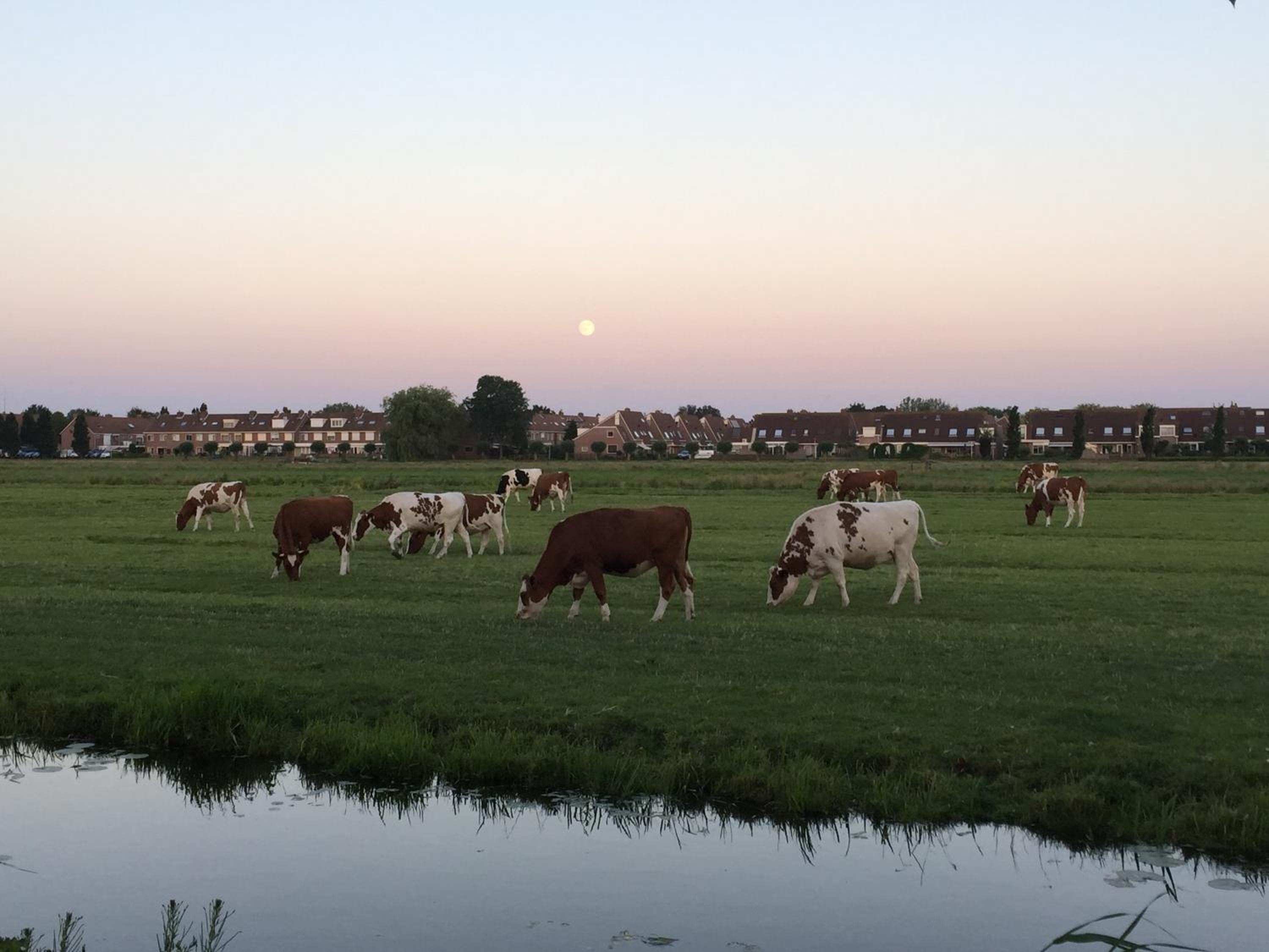 B&B-Edam view 2