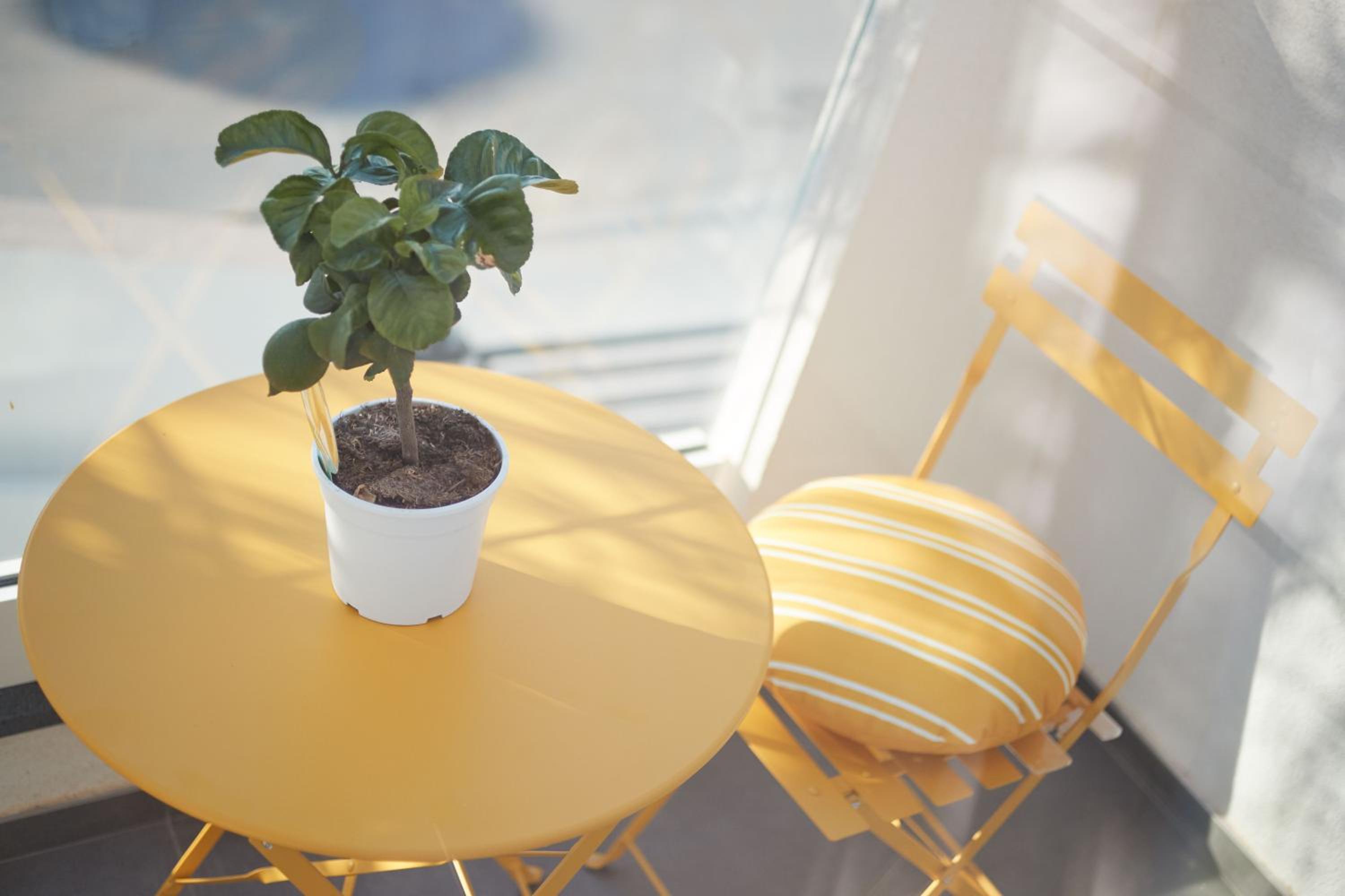 RUTACEAE Holiday Home