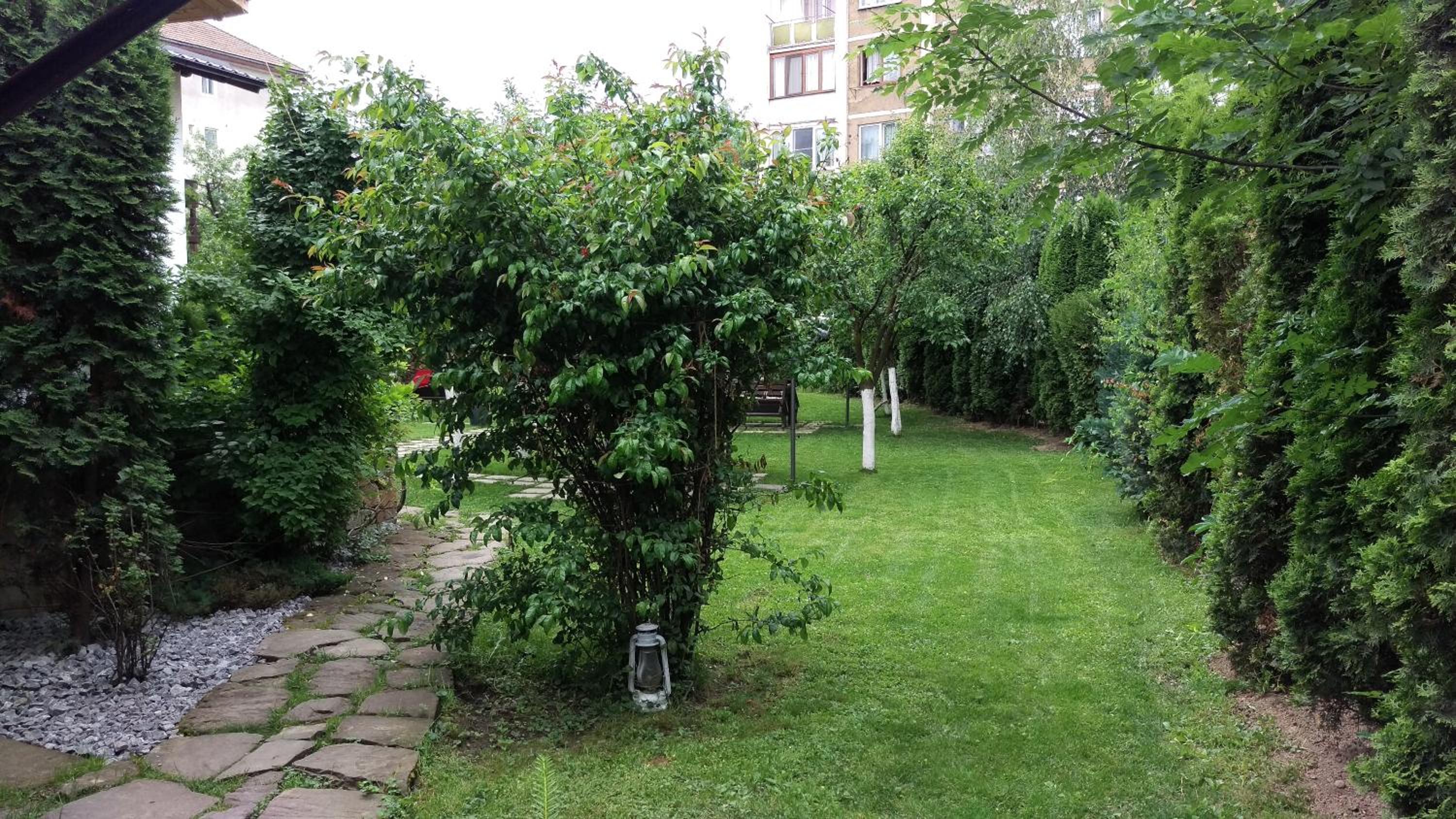Photo 30