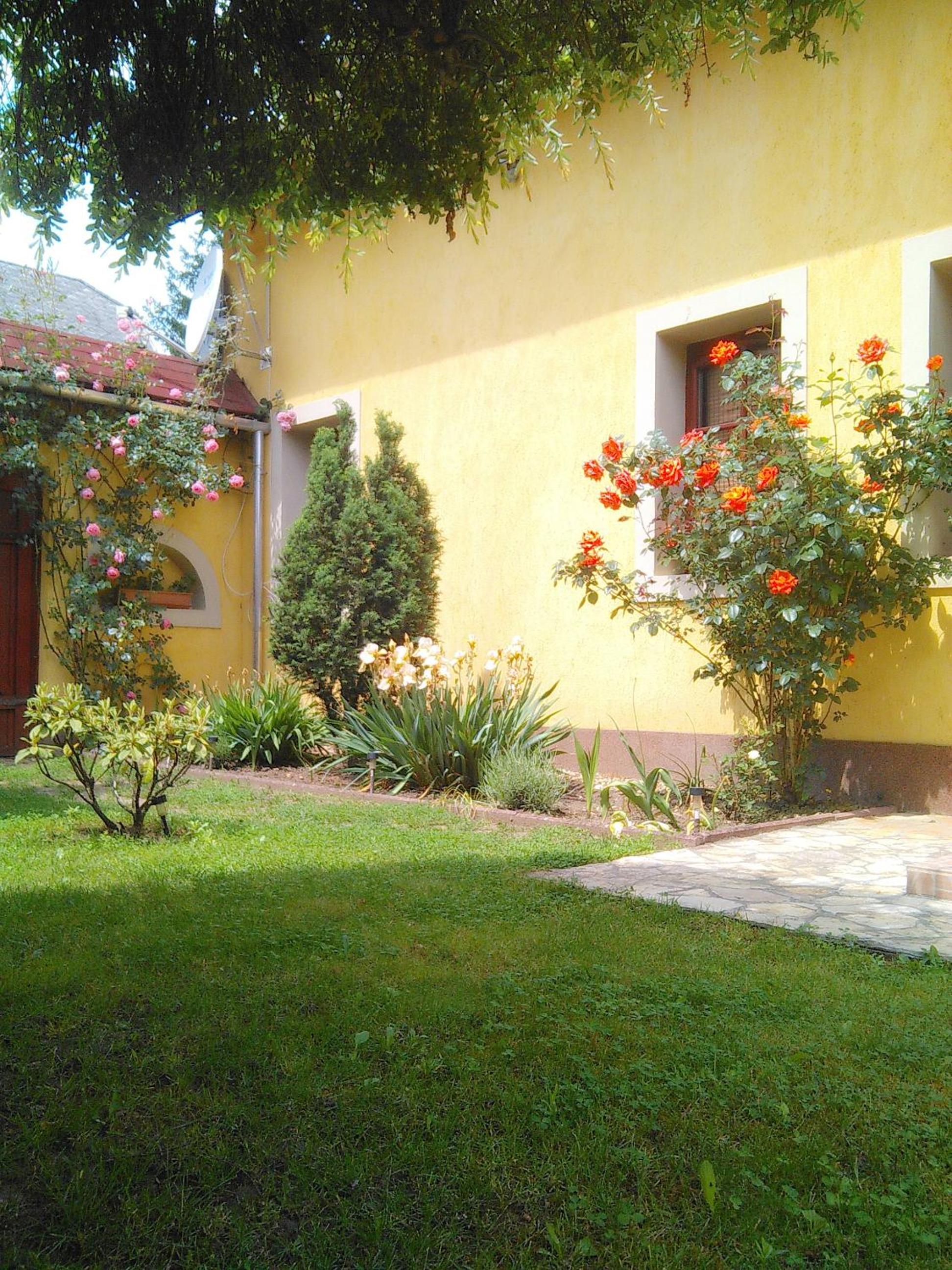 Photo 42