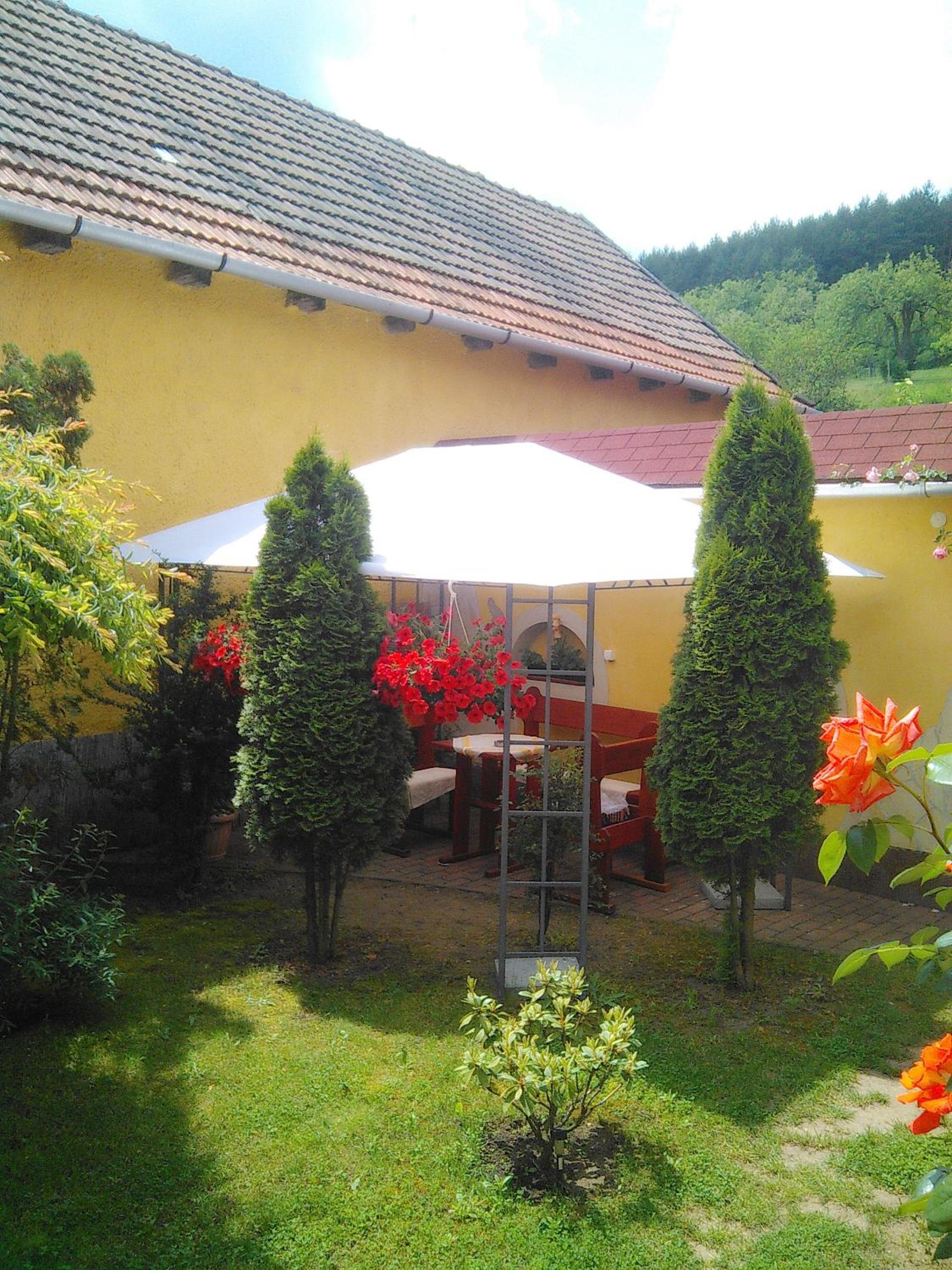 Photo 43