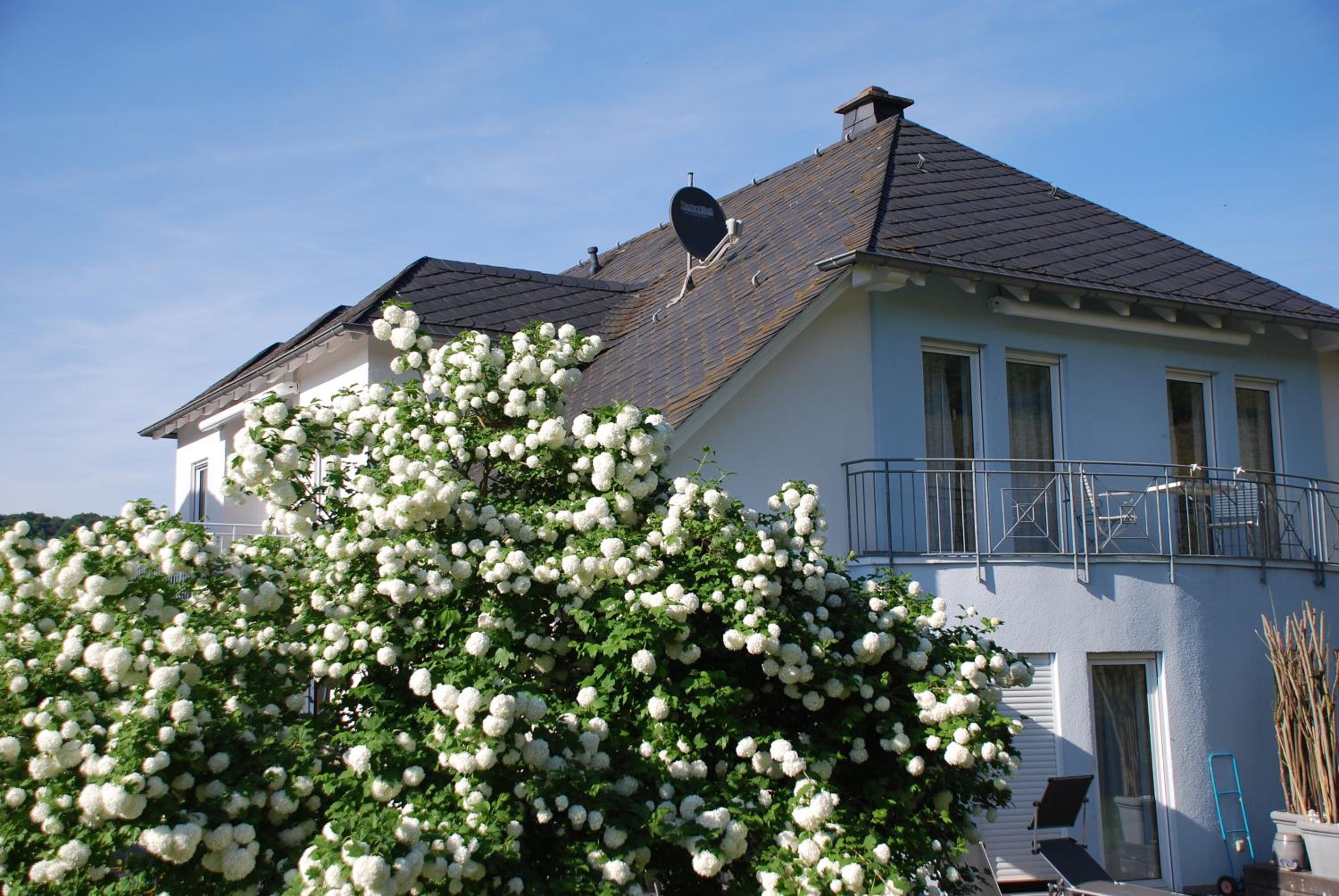 Roussel Hotel Restaurant