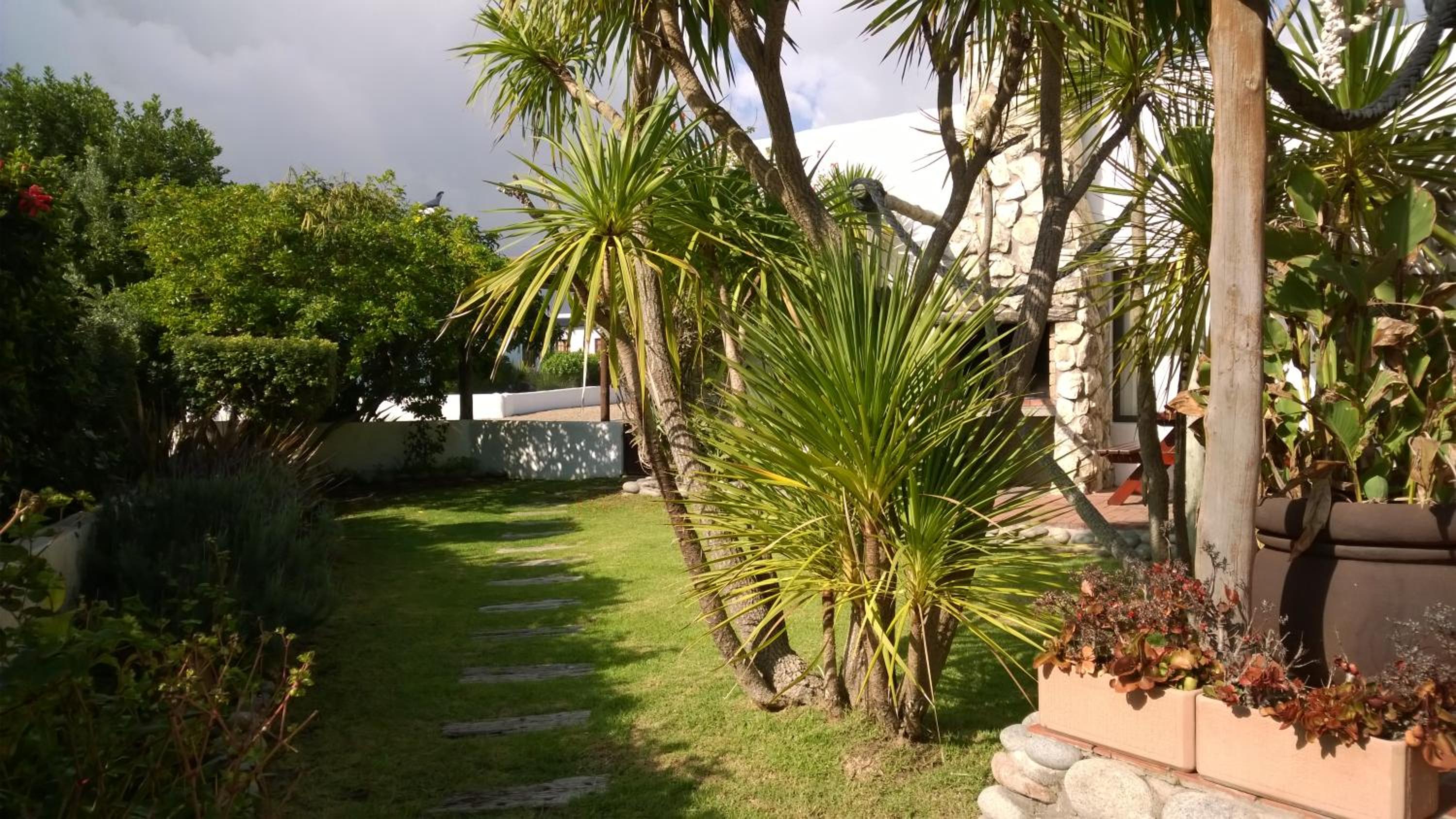Photo 42