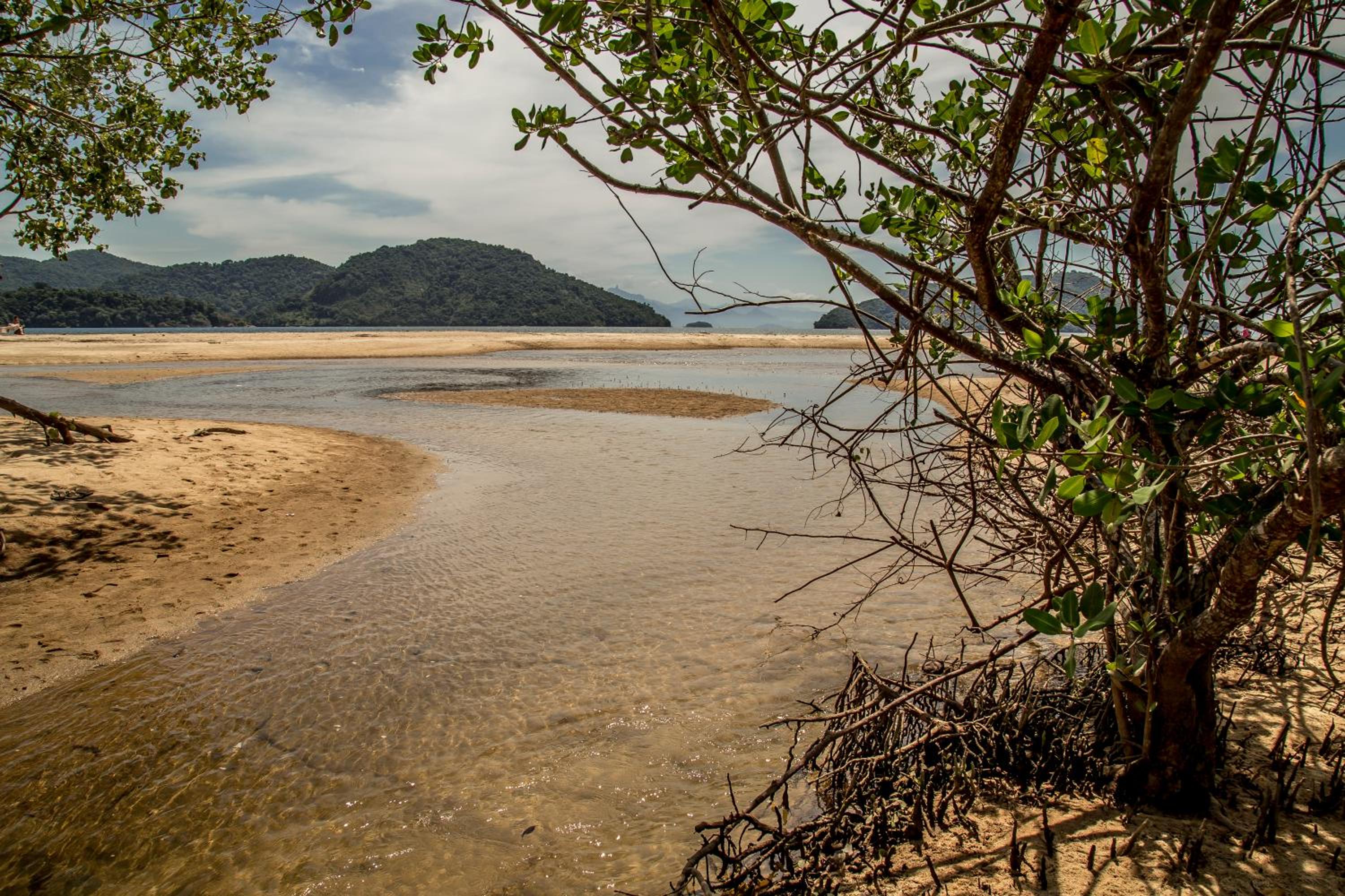 Paraty Paradiso