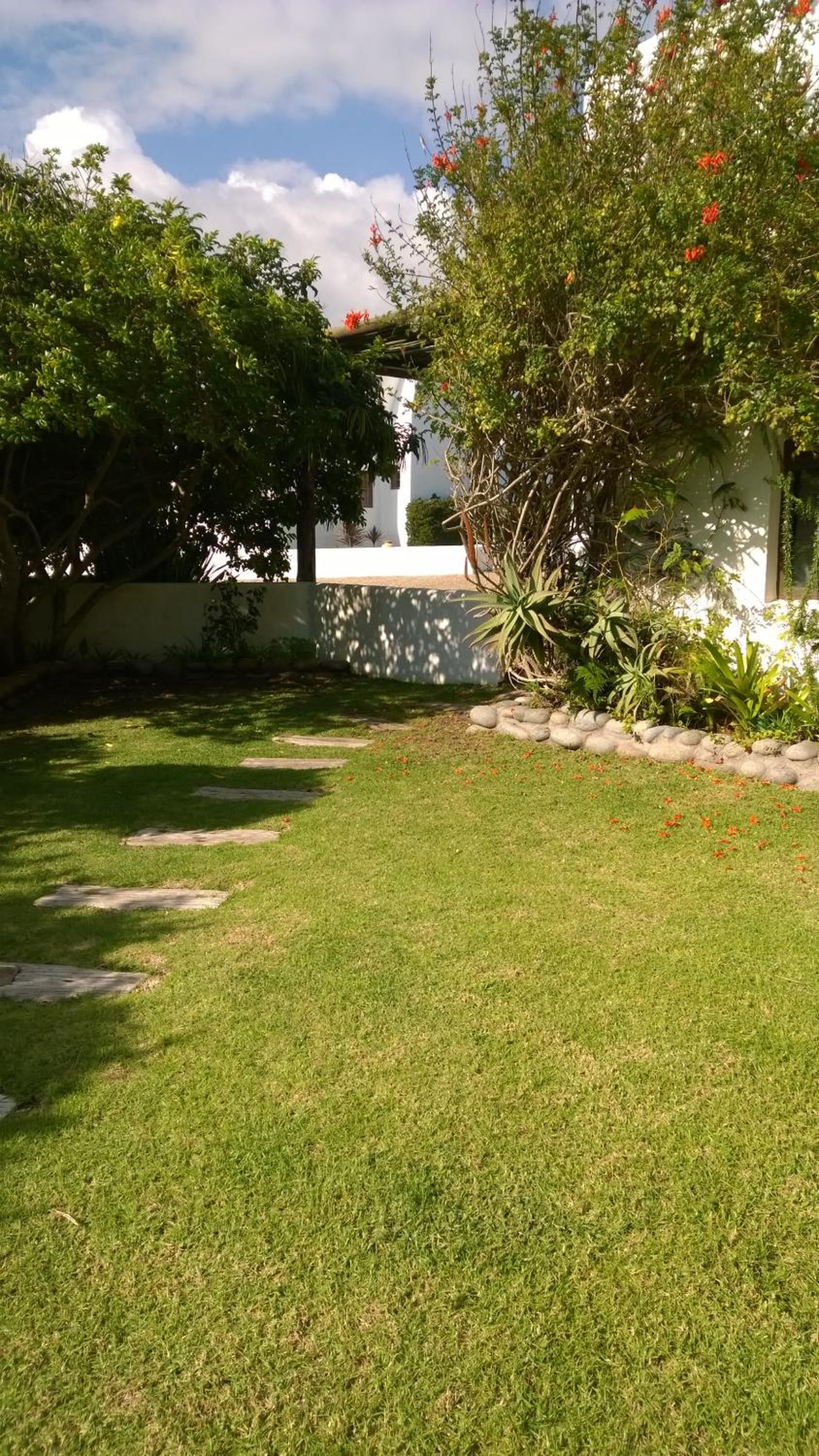 Photo 49