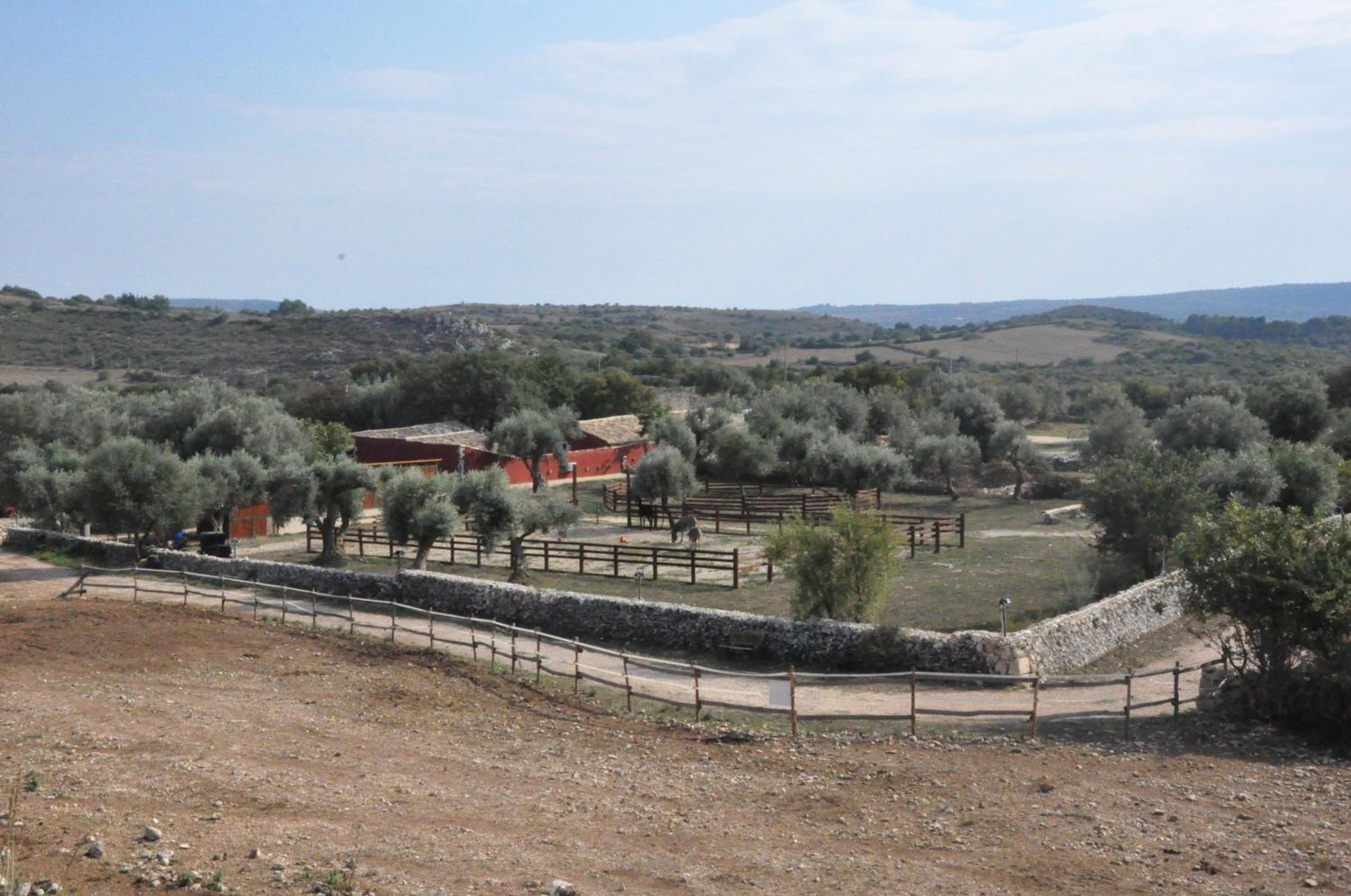 Agriturismo Agrimilo photo 5