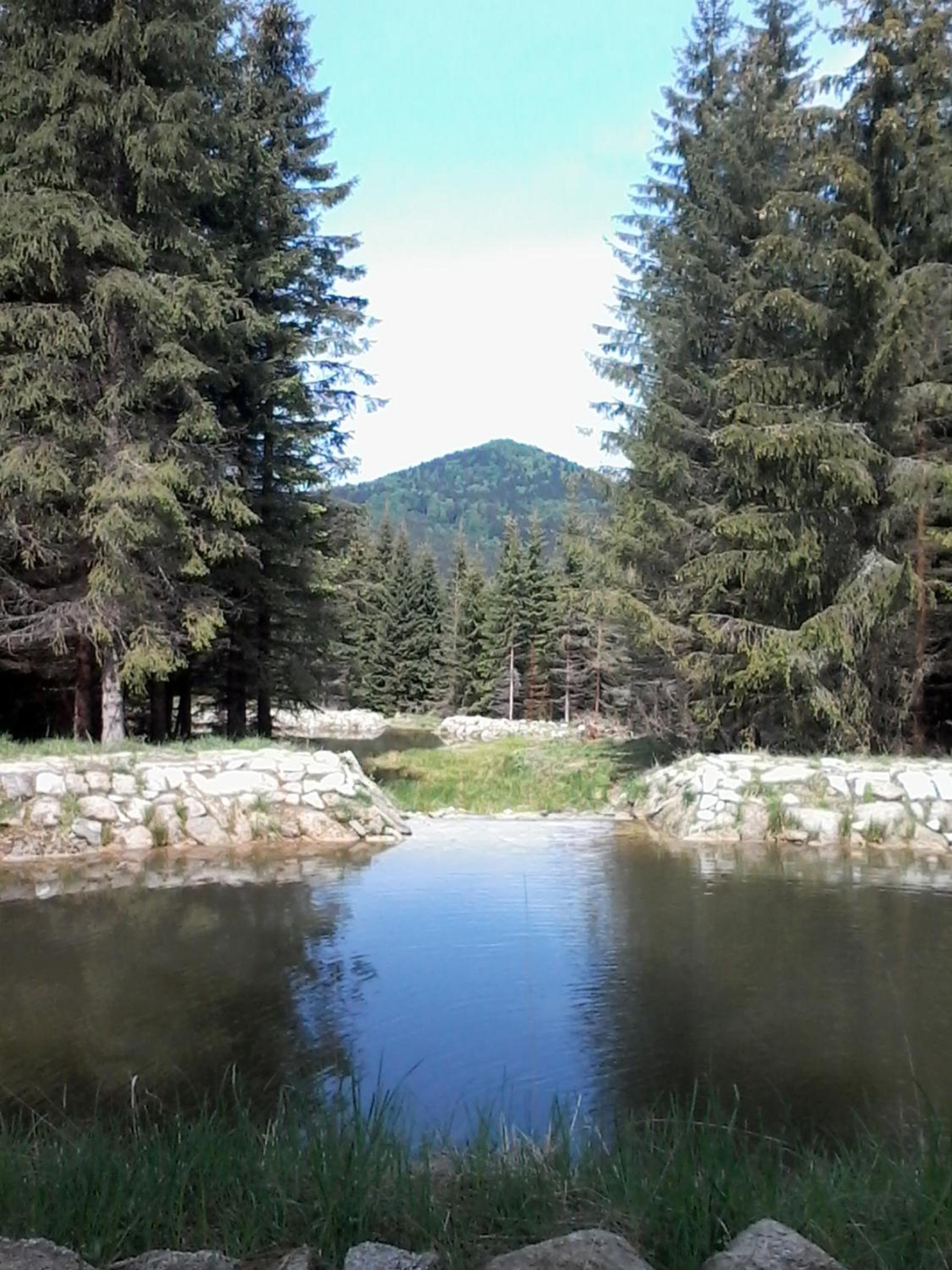 Photo 45