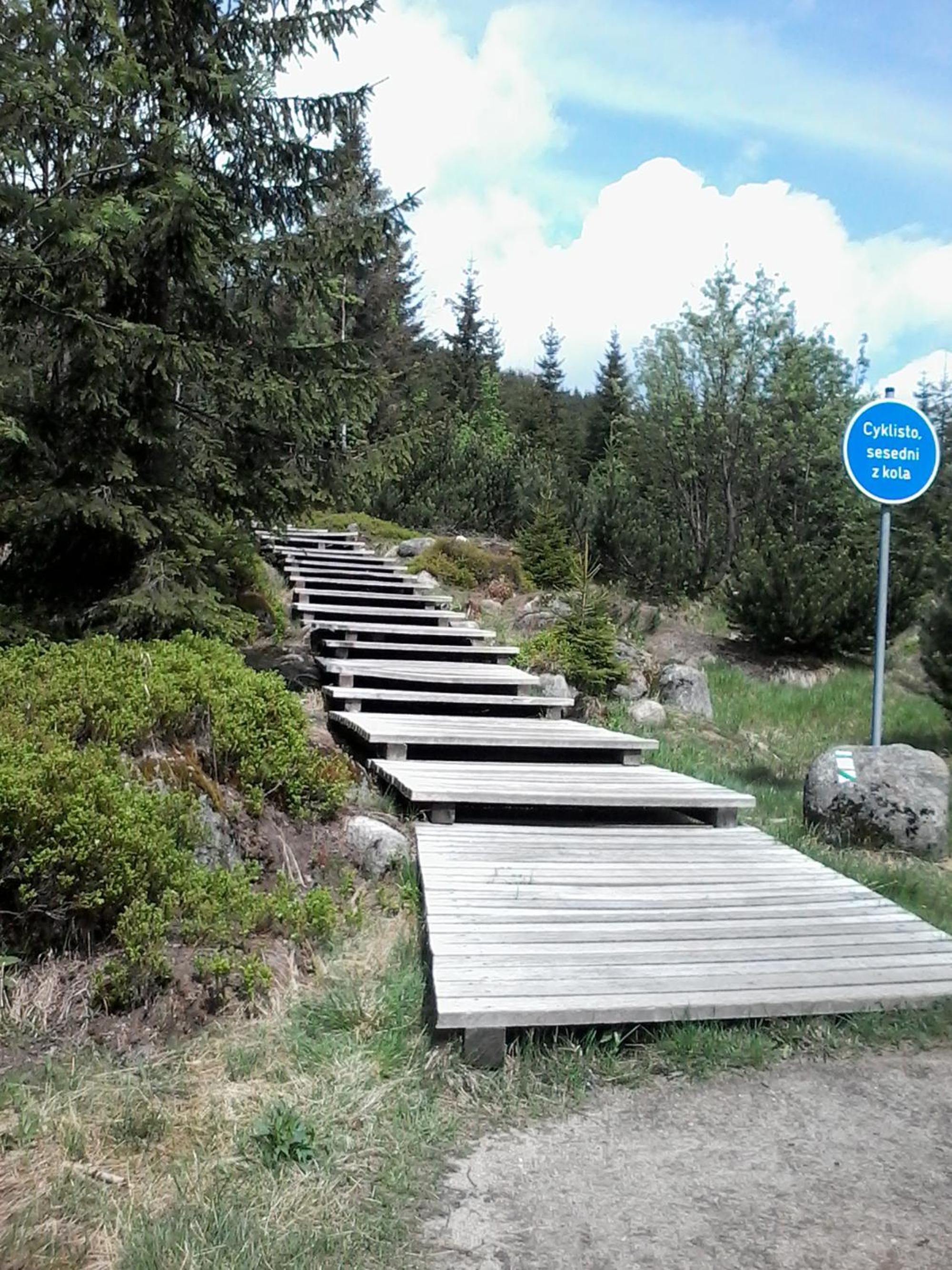 Photo 50