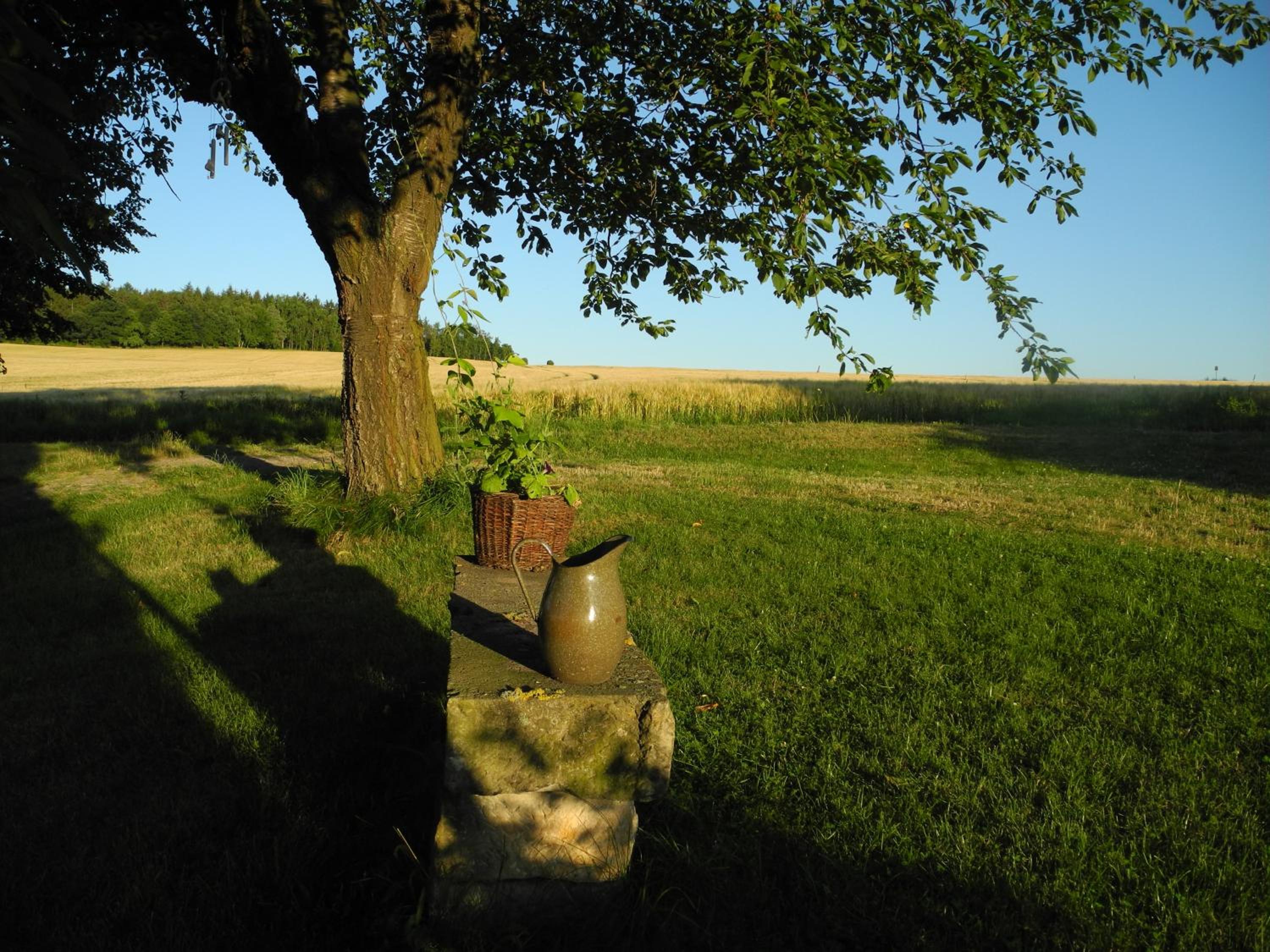 Photo 38