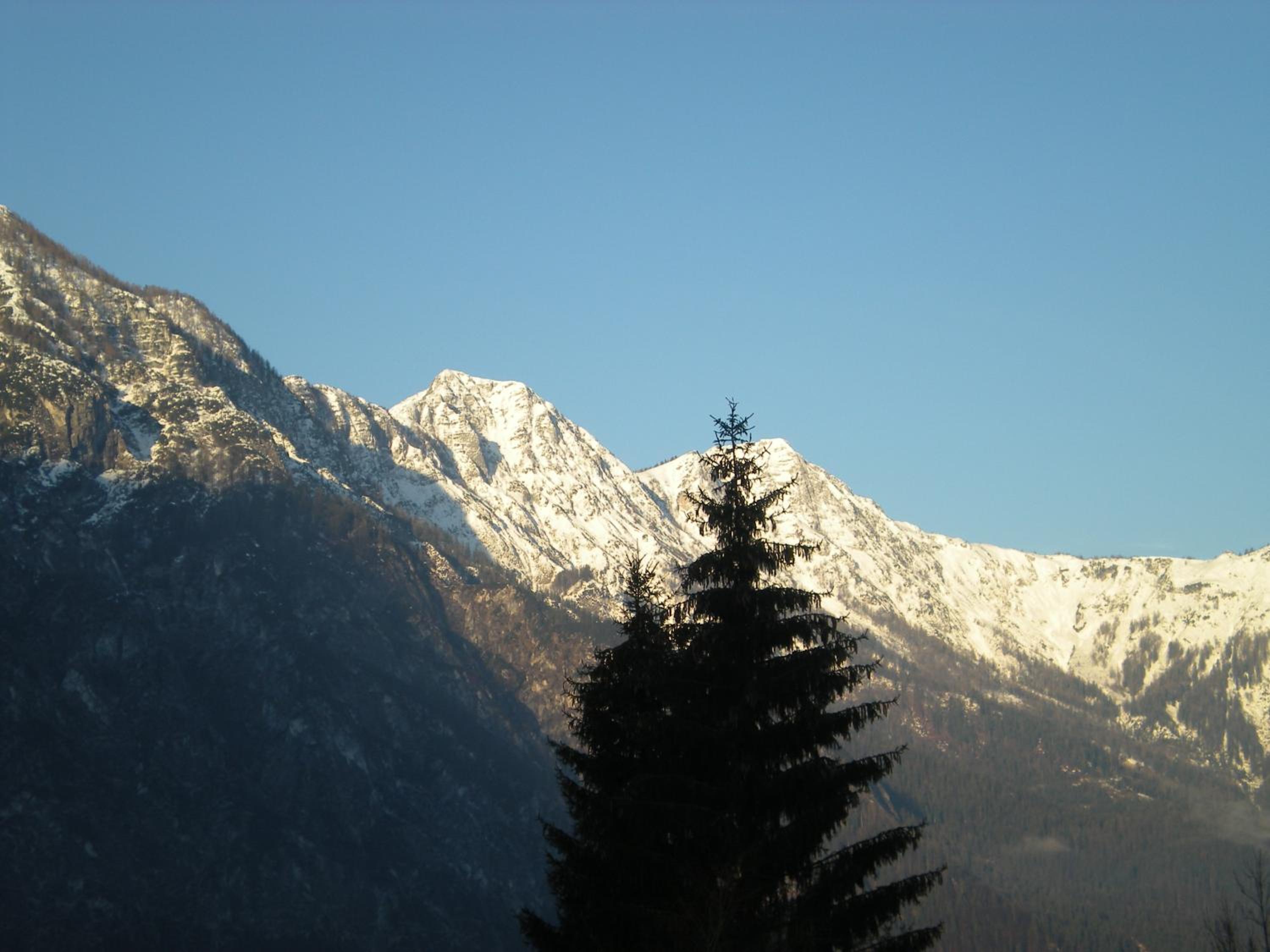 Pension Leprich