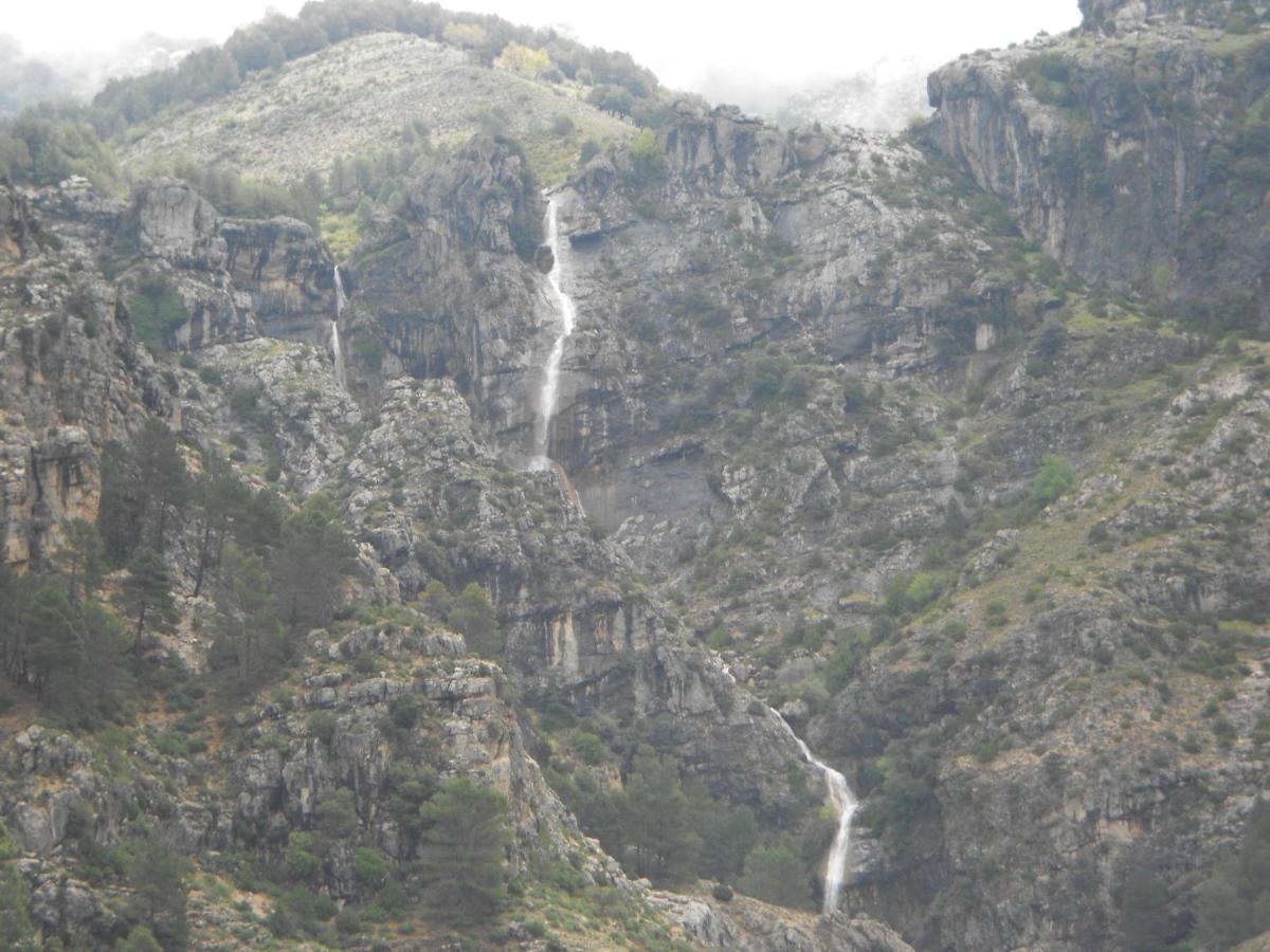 Photo 45