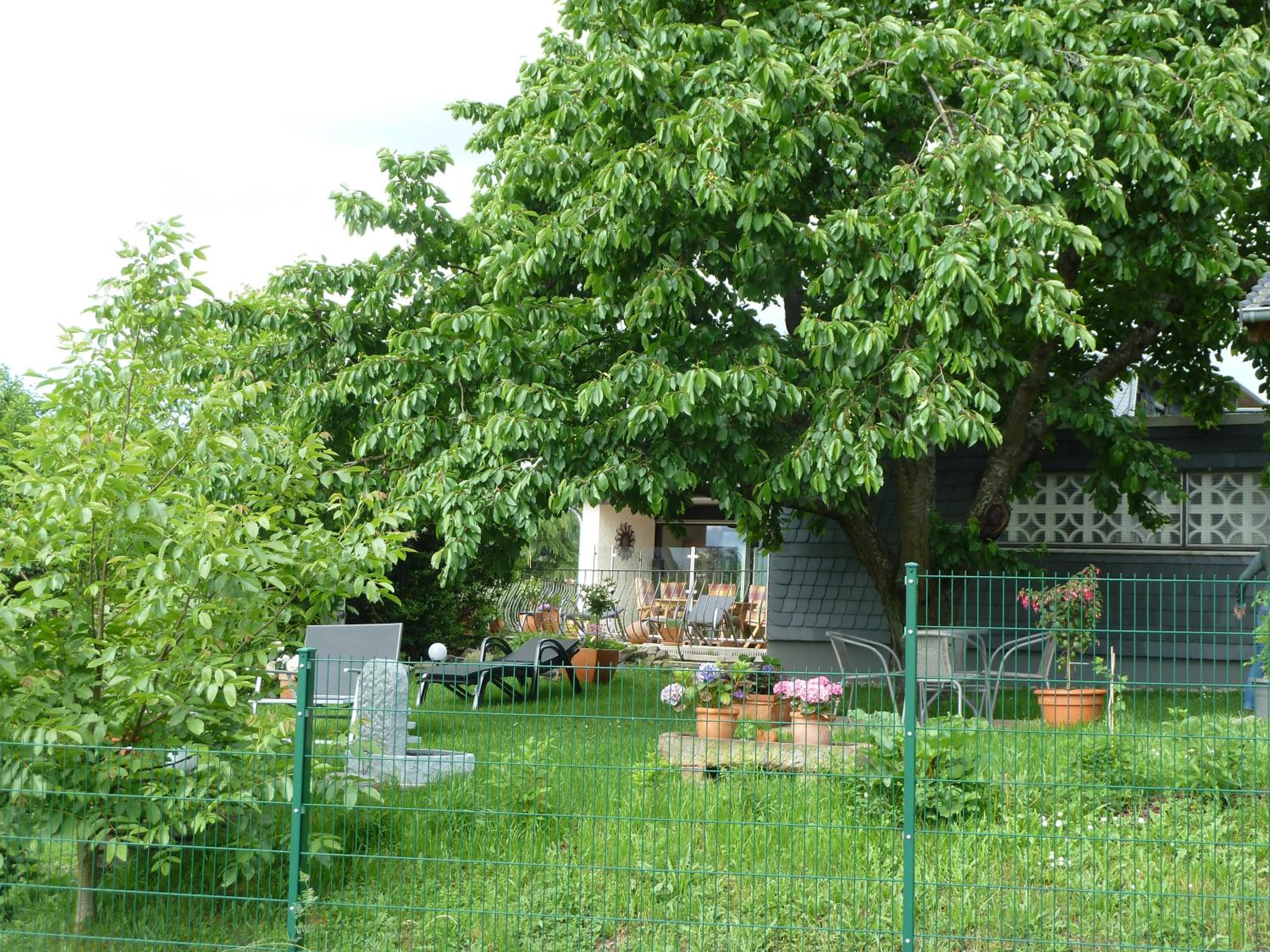 Photo 39