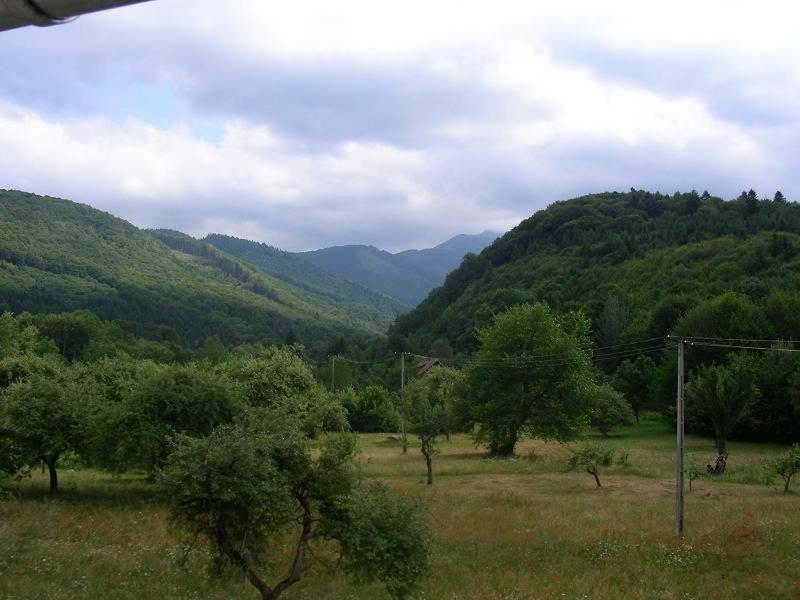 Photo 52