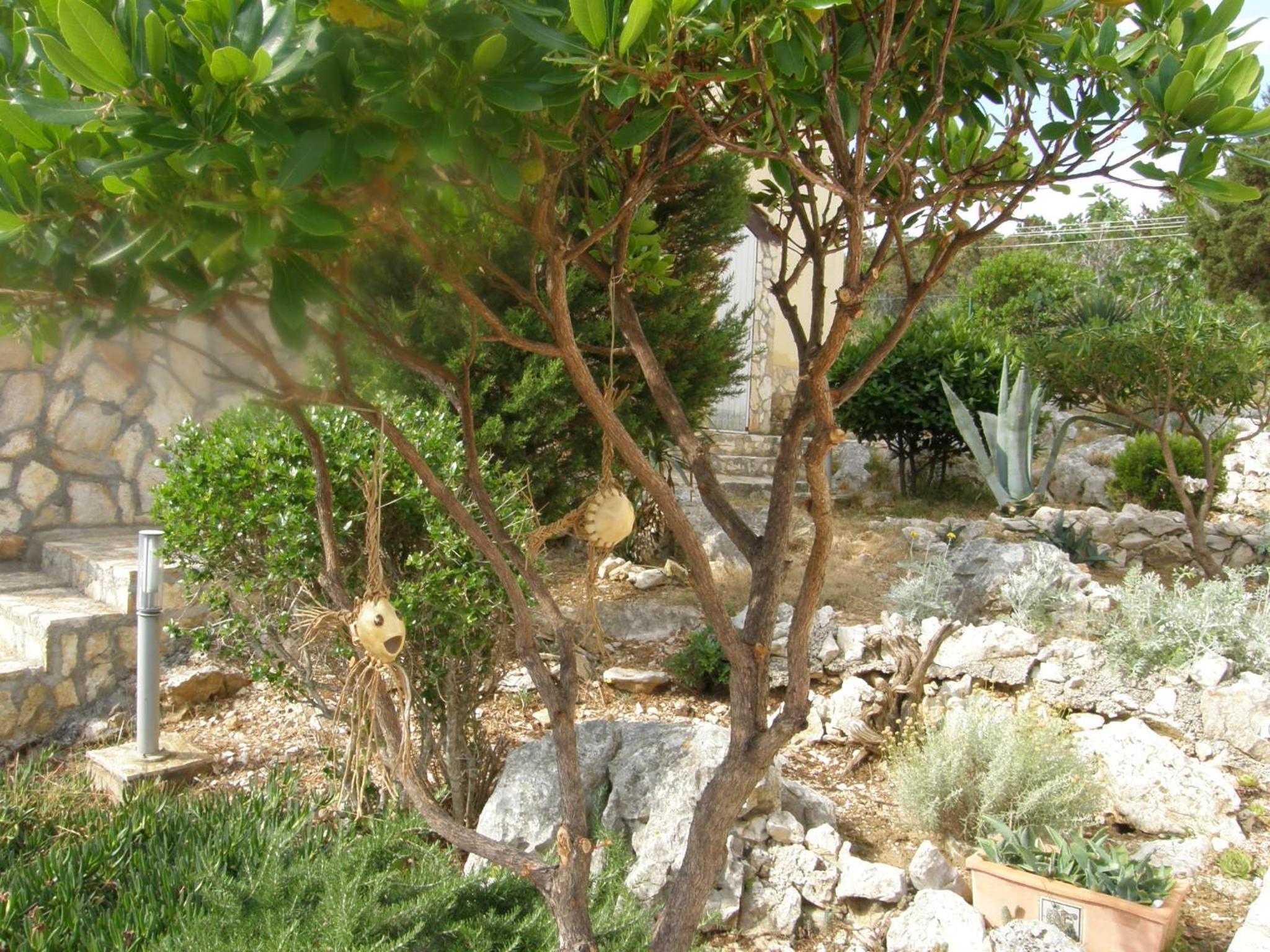 Photo 55