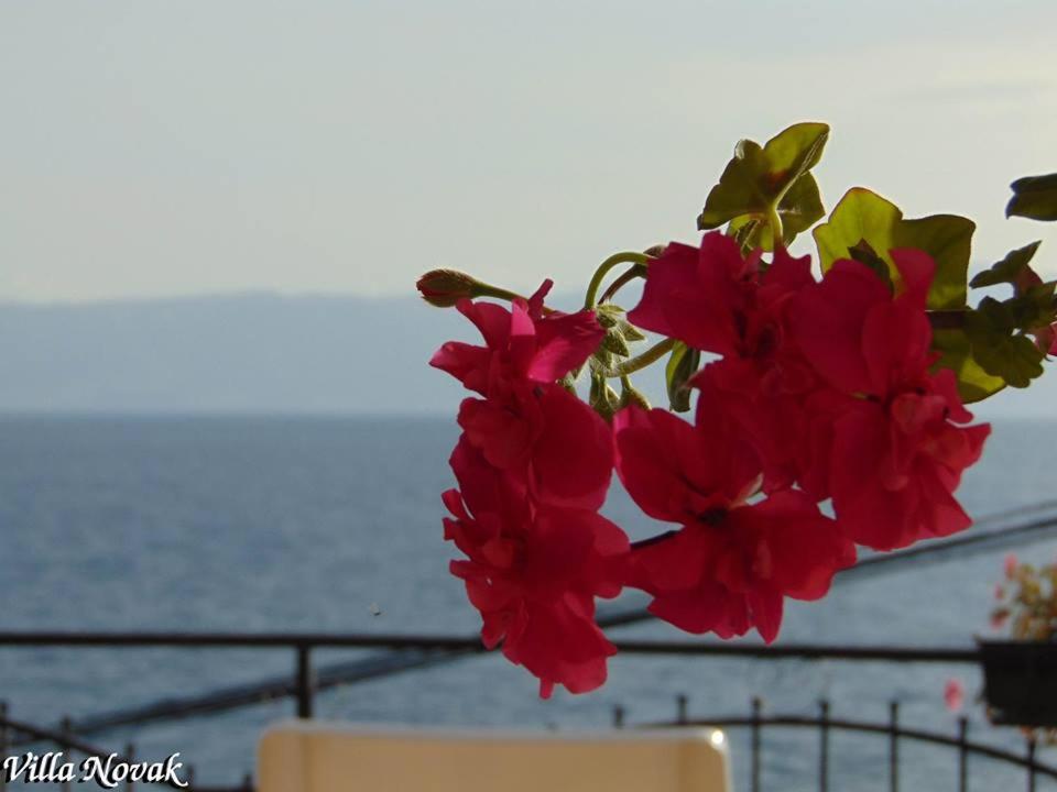 Villa Novak view 4
