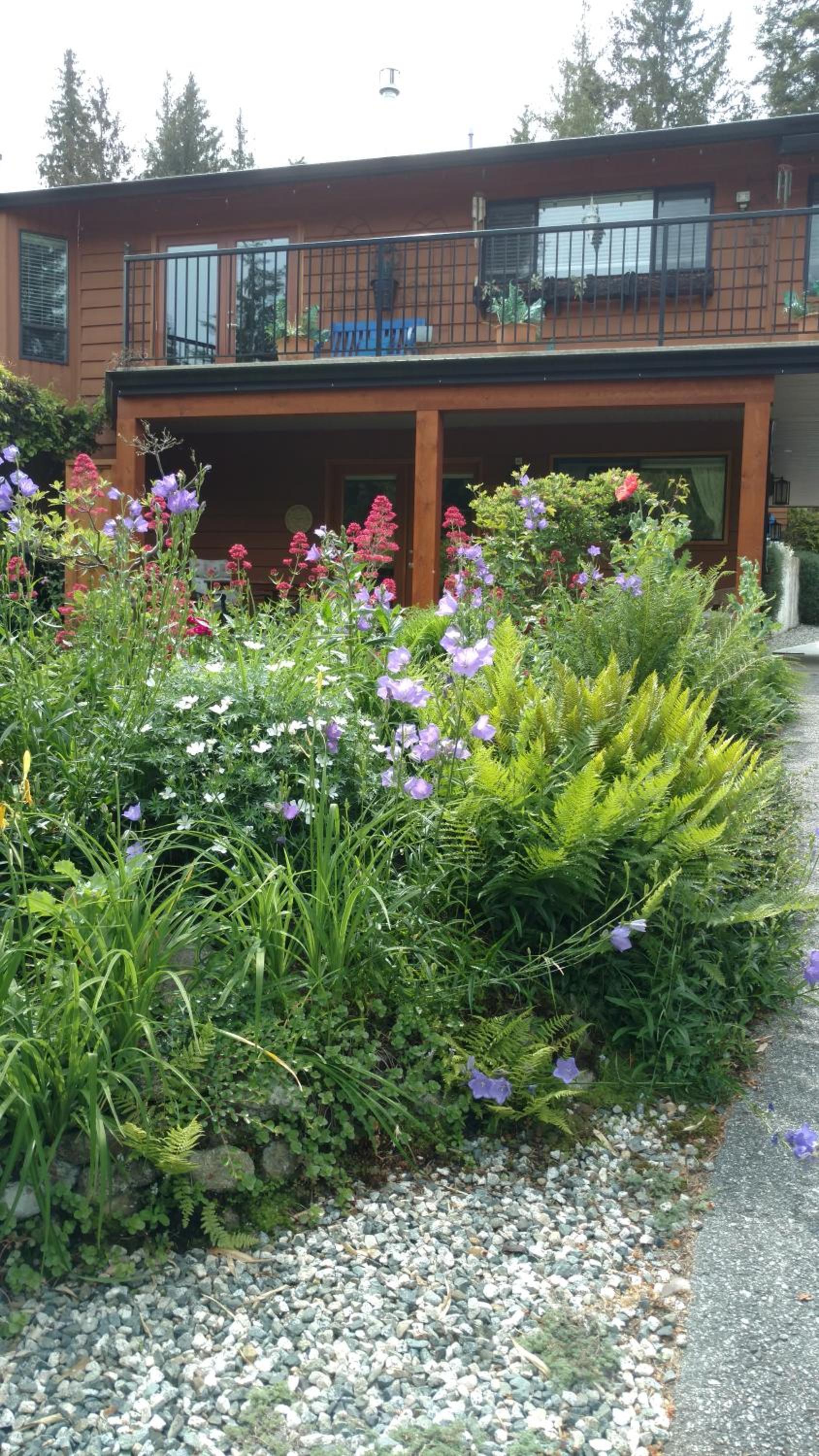 Nestledown B&B