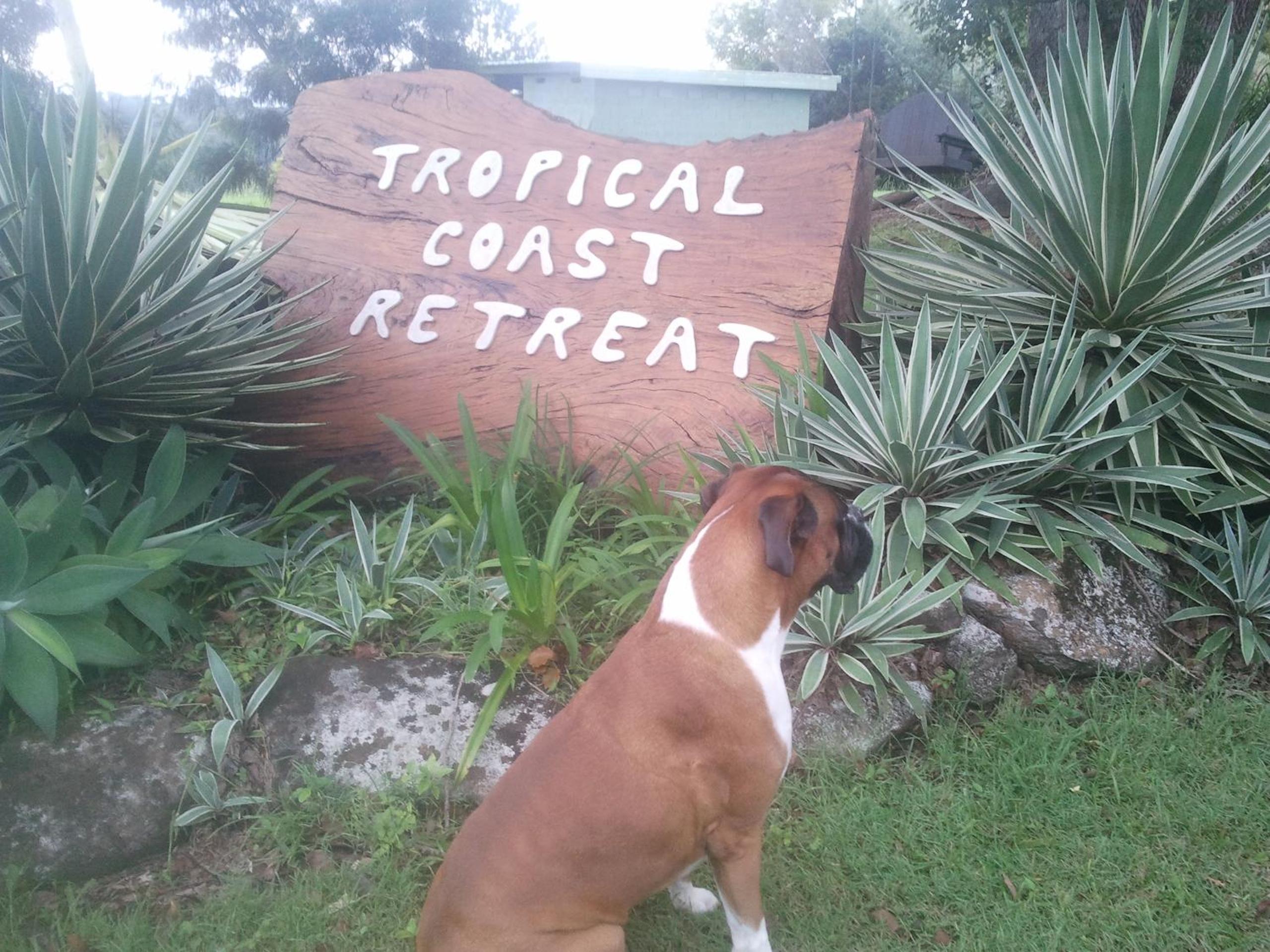 Tropical Coast Retreat - Pet Friendly - Adult only