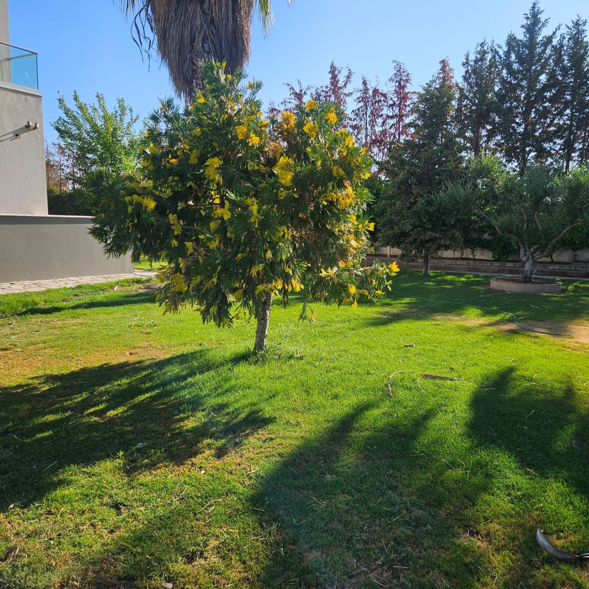 Evia Palm Beach Villa