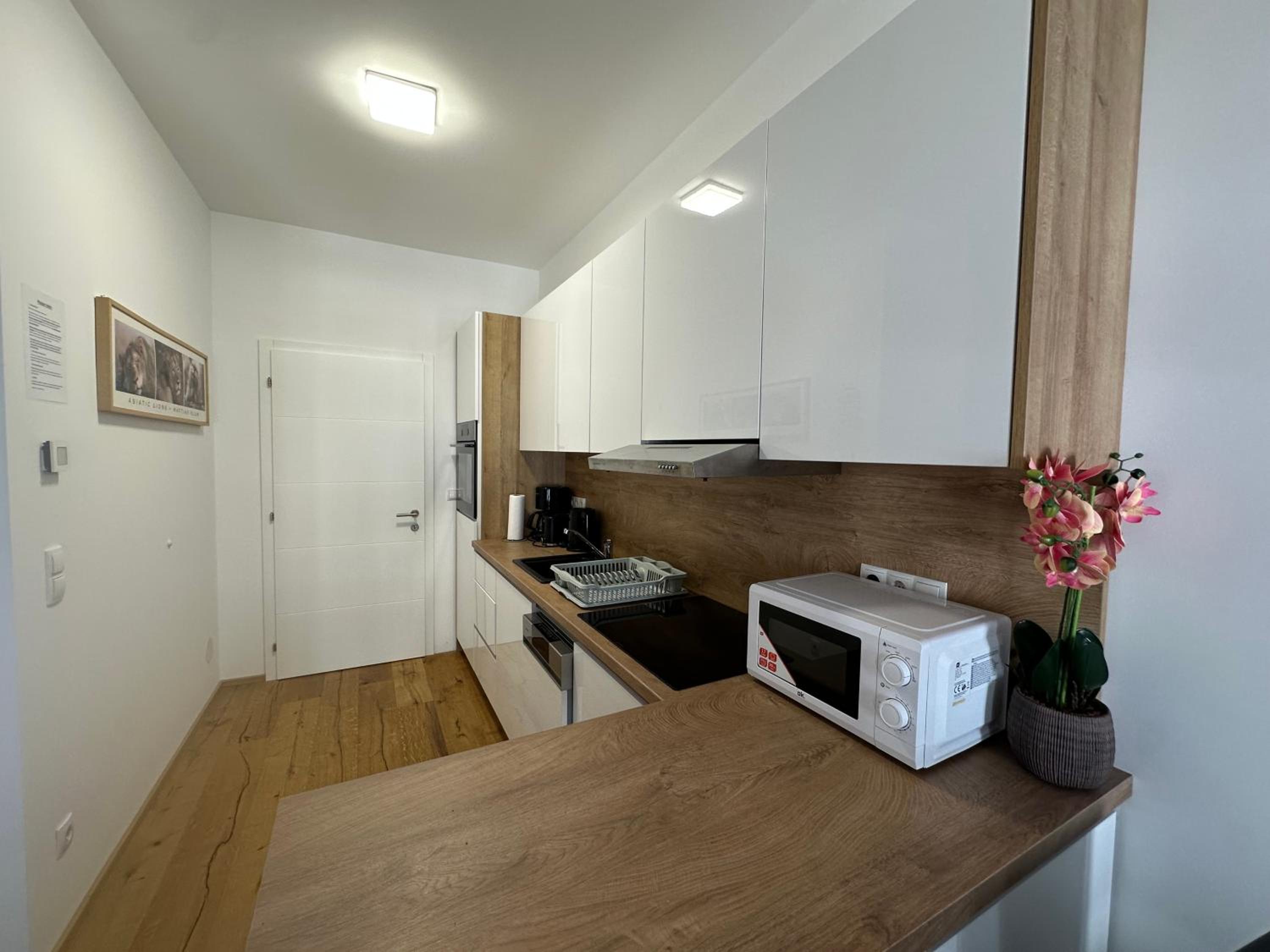 Beauty Apartment Erlachgasse
