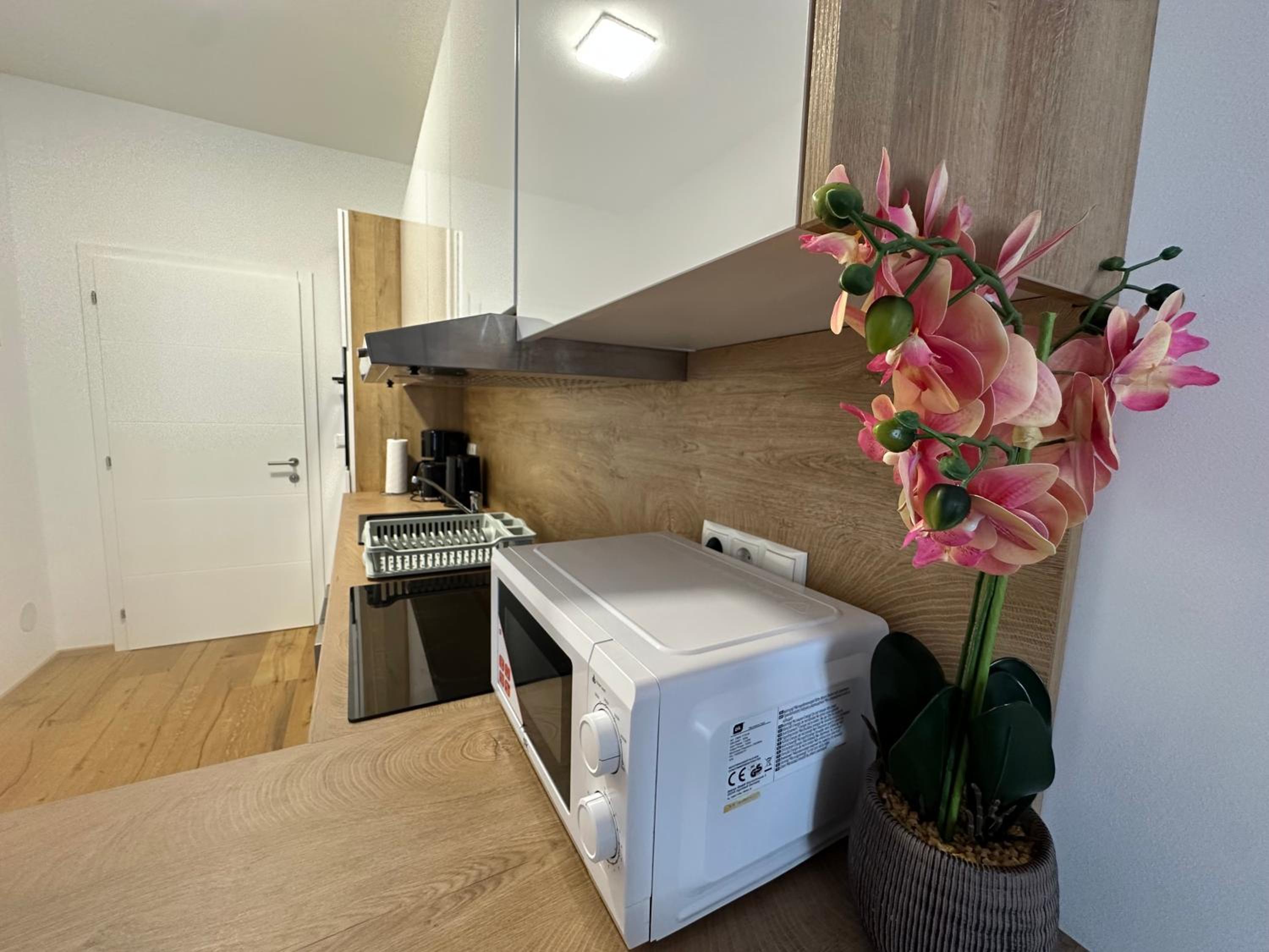 Beauty Apartment Erlachgasse