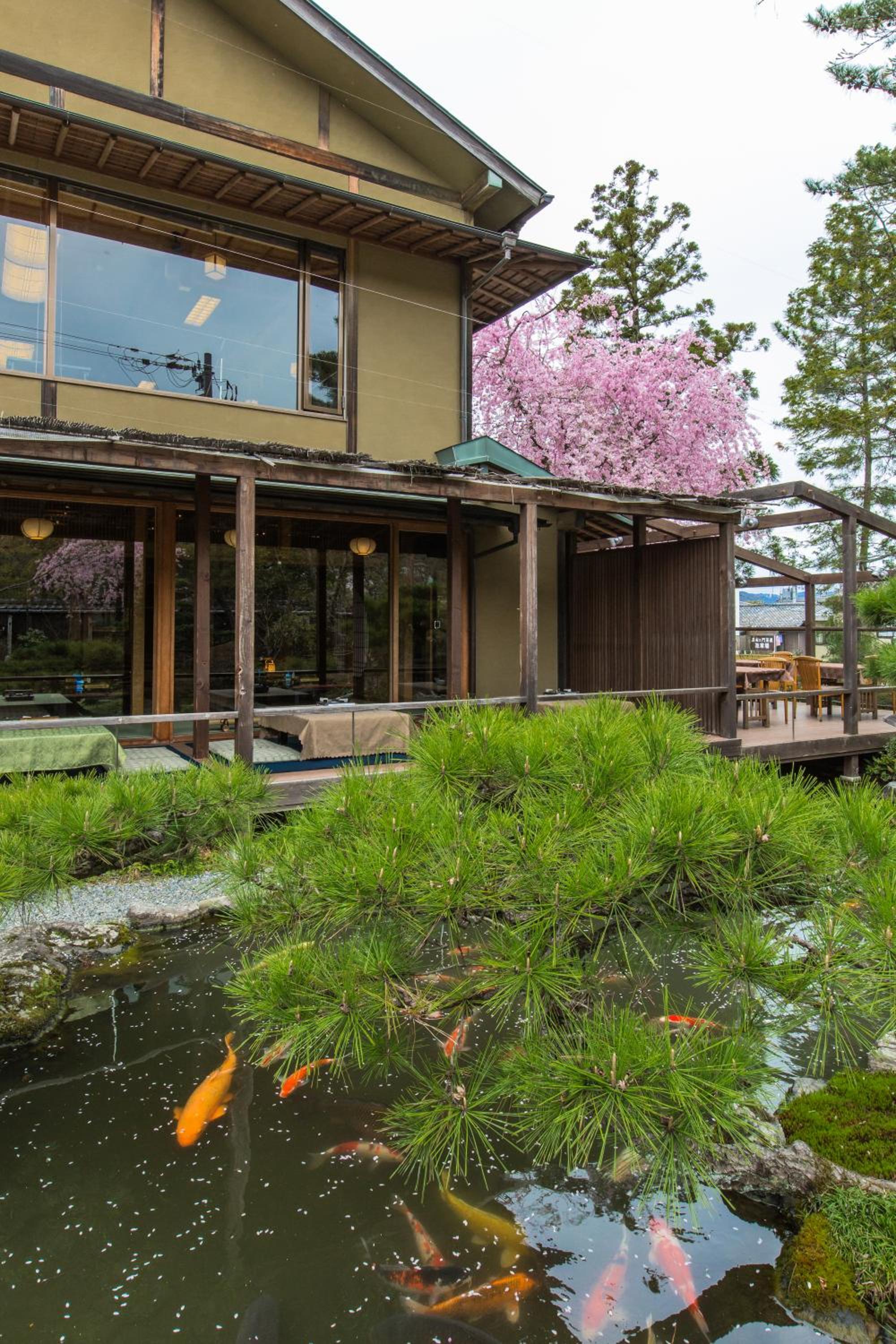 Kyoto Nanzenji Ryokan Yachiyo Established in 1915