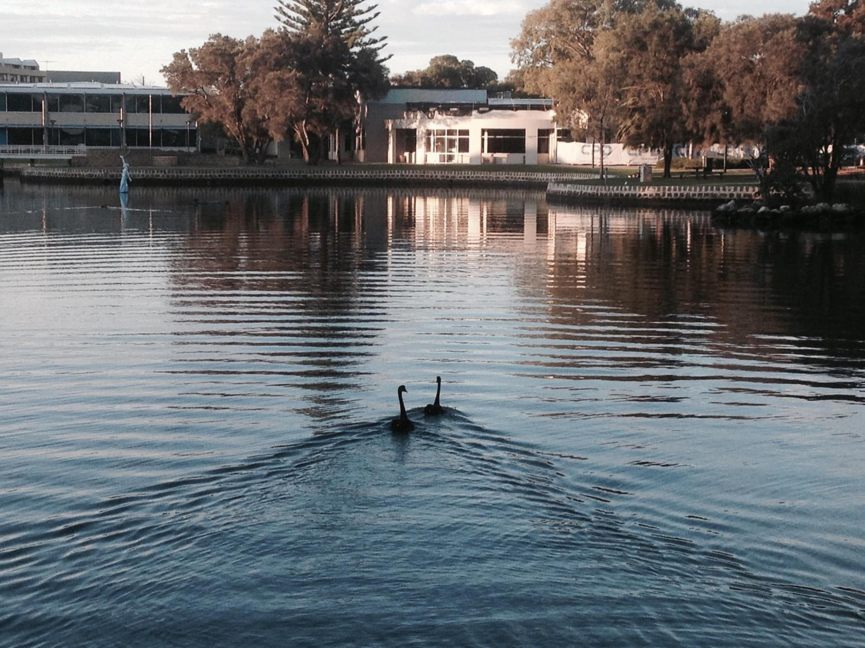 Mandurah Ocean Marina Chalets